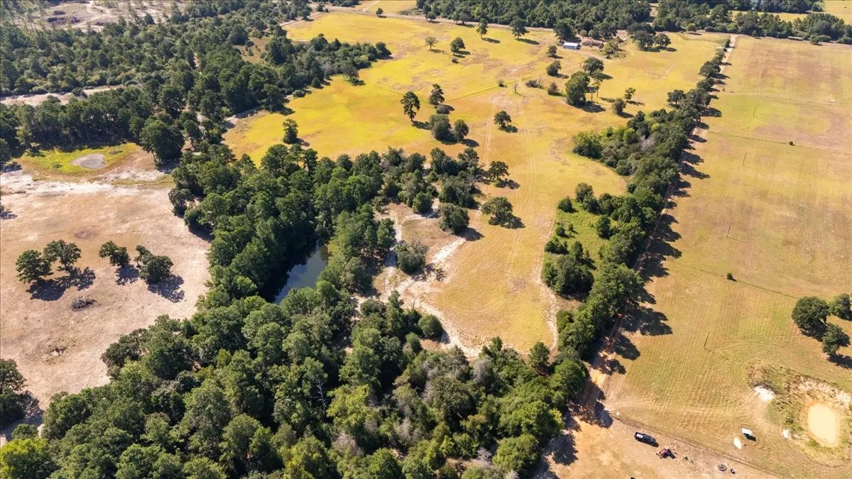 Farm For Sale in Anderson County , 1000 County Road 1208, Grapeland, Texas 75844, 3 Bedroom, 2 Bathroom, Garage spaces, 1,974 Sqft, built in 1978, mls#21368790, Real Estate Agent in Grapeland, Homes For Sale in Anderson county, Homes For Sale in Grapeland, Realtor in Grapeland Texas, Real Estate Brokerage Independent Realty Texas, Luminita Cordes Realtor