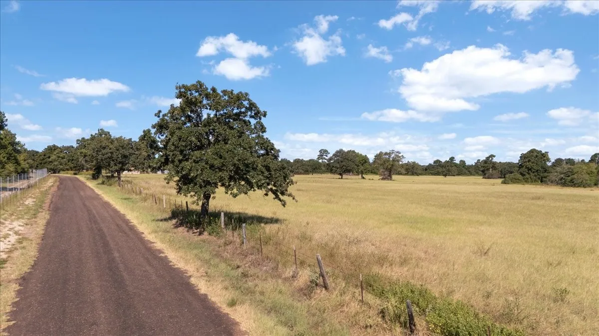 Farm For Sale in Anderson County , 1000 County Road 1208, Grapeland, Texas 75844, 3 Bedroom, 2 Bathroom, Garage spaces, 1,974 Sqft, built in 1978, mls#21368790, Real Estate Agent in Grapeland, Homes For Sale in Anderson county, Homes For Sale in Grapeland, Realtor in Grapeland Texas, Real Estate Brokerage Independent Realty Texas, Luminita Cordes Realtor