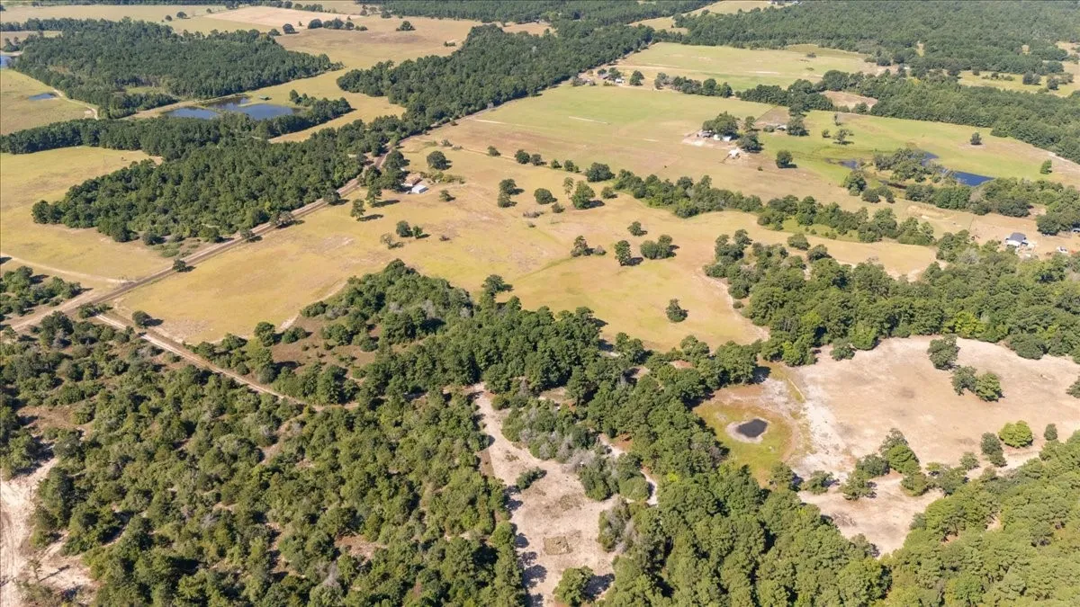 Farm For Sale in Anderson County , 1000 County Road 1208, Grapeland, Texas 75844, 3 Bedroom, 2 Bathroom, Garage spaces, 1,974 Sqft, built in 1978, mls#21368790, Real Estate Agent in Grapeland, Homes For Sale in Anderson county, Homes For Sale in Grapeland, Realtor in Grapeland Texas, Real Estate Brokerage Independent Realty Texas, Luminita Cordes Realtor