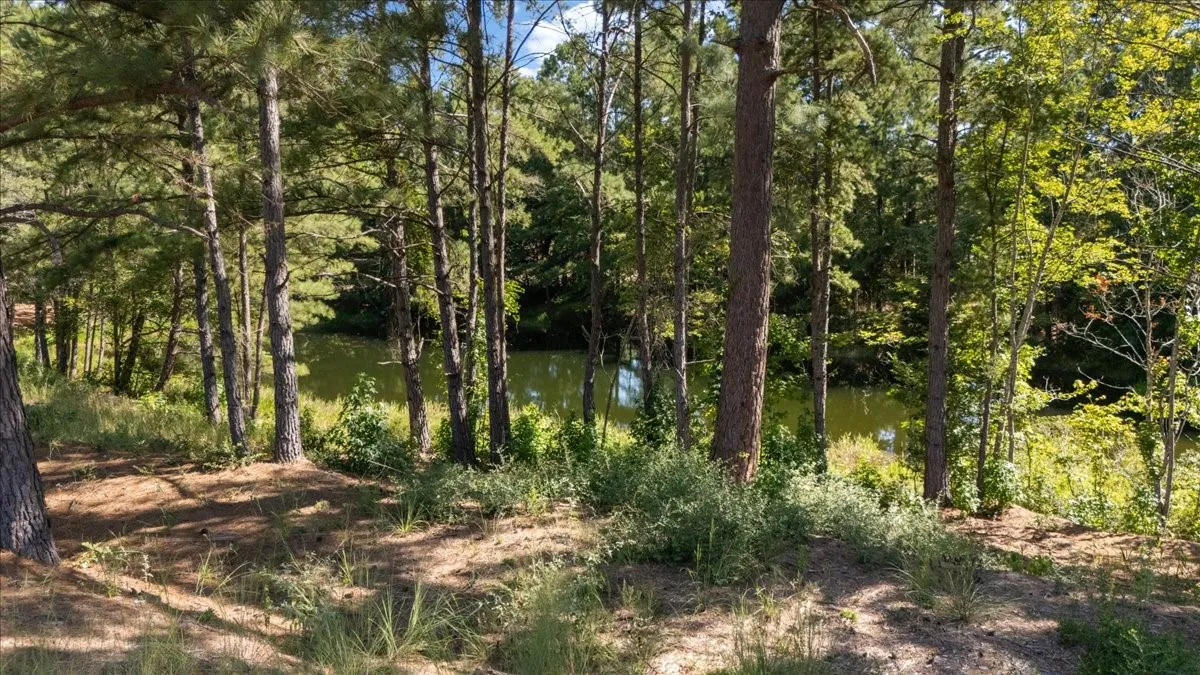 Farm For Sale in Anderson County , 1000 County Road 1208, Grapeland, Texas 75844, 3 Bedroom, 2 Bathroom, Garage spaces, 1,974 Sqft, built in 1978, mls#21368790, Real Estate Agent in Grapeland, Homes For Sale in Anderson county, Homes For Sale in Grapeland, Realtor in Grapeland Texas, Real Estate Brokerage Independent Realty Texas, Luminita Cordes Realtor