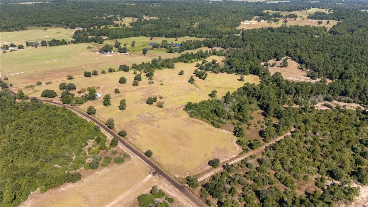 Farm For Sale in Anderson County , 1000 County Road 1208, Grapeland, Texas 75844, 3 Bedroom, 2 Bathroom, Garage spaces, 1,974 Sqft, built in 1978, mls#21368790, Real Estate Agent in Grapeland, Homes For Sale in Anderson county, Homes For Sale in Grapeland, Realtor in Grapeland Texas, Real Estate Brokerage Independent Realty Texas, Luminita Cordes Realtor