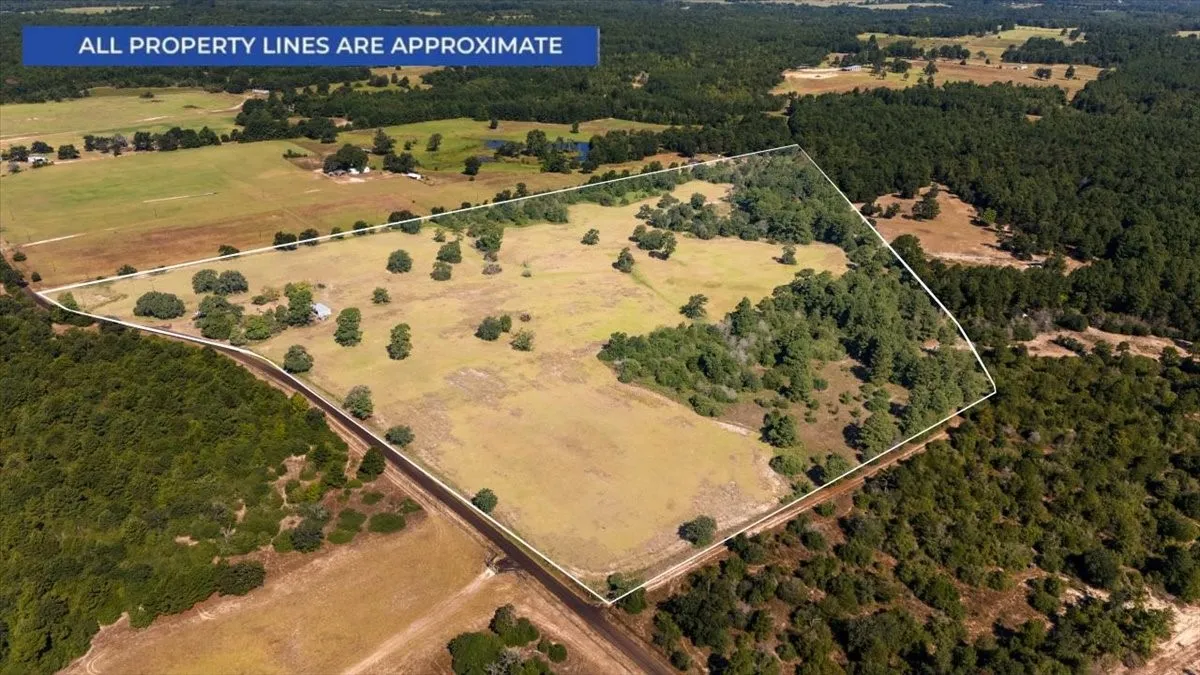 Farm For Sale in Anderson County , 1000 County Road 1208, Grapeland, Texas 75844, 3 Bedroom, 2 Bathroom, Garage spaces, 1,974 Sqft, built in 1978, mls#21368790, Real Estate Agent in Grapeland, Homes For Sale in Anderson county, Homes For Sale in Grapeland, Realtor in Grapeland Texas, Real Estate Brokerage Independent Realty Texas, Luminita Cordes Realtor