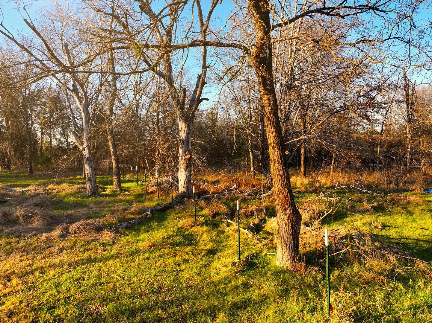 Unimproved Land For Sale in Navarro County , 259 NW County 3115 Road, Purdon, Texas 76679, 0, 0, Garage spaces, 0 Sqft, built in 0, mls#21368855, Real Estate Agent in Purdon, Homes For Sale in Navarro county, Homes For Sale in Purdon, Realtor in Purdon Texas, Real Estate Brokerage Independent Realty Texas, Luminita Cordes Realtor