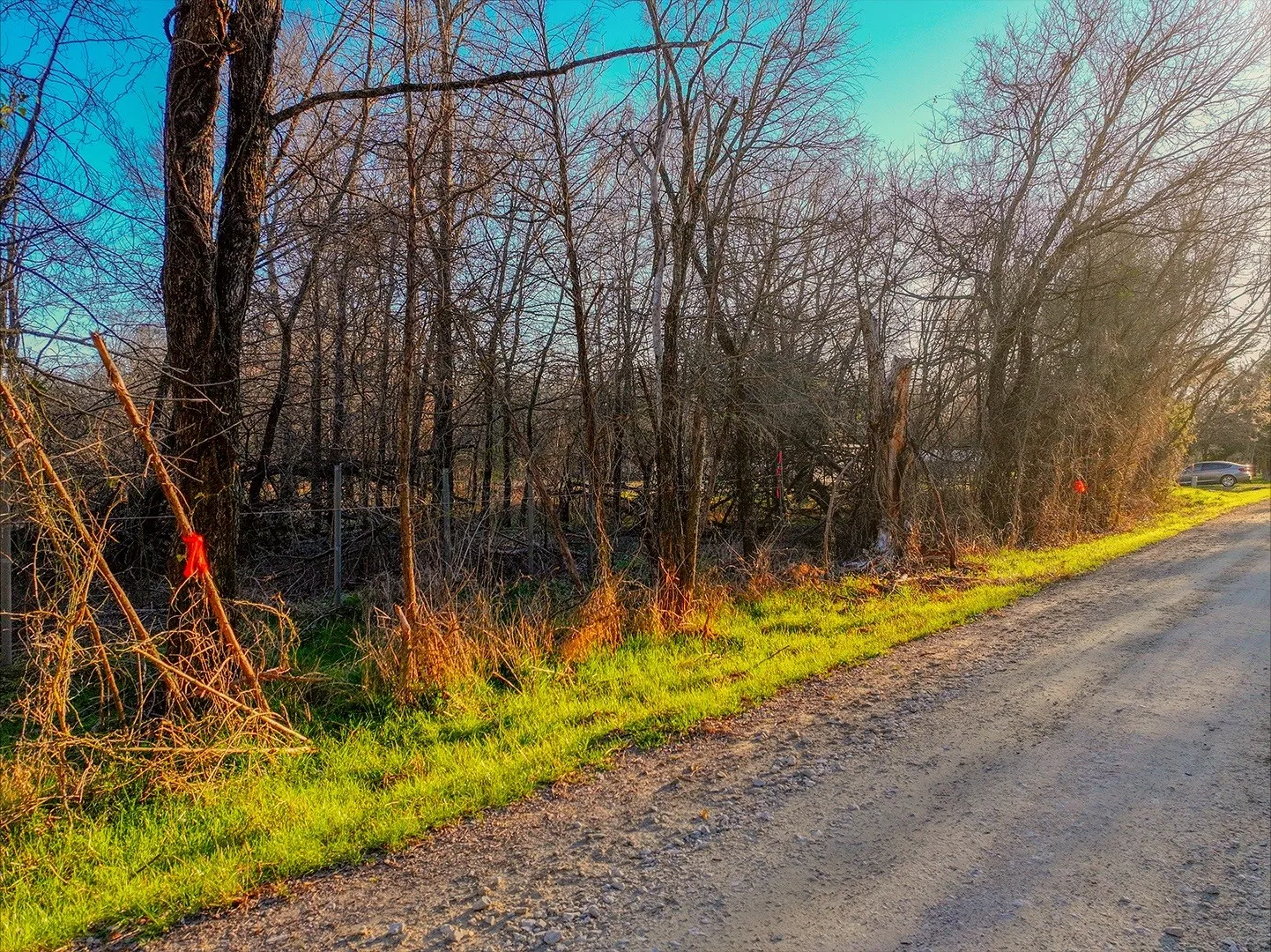Unimproved Land For Sale in Navarro County , 259 NW County 3115 Road, Purdon, Texas 76679, 0, 0, Garage spaces, 0 Sqft, built in 0, mls#21368855, Real Estate Agent in Purdon, Homes For Sale in Navarro county, Homes For Sale in Purdon, Realtor in Purdon Texas, Real Estate Brokerage Independent Realty Texas, Luminita Cordes Realtor