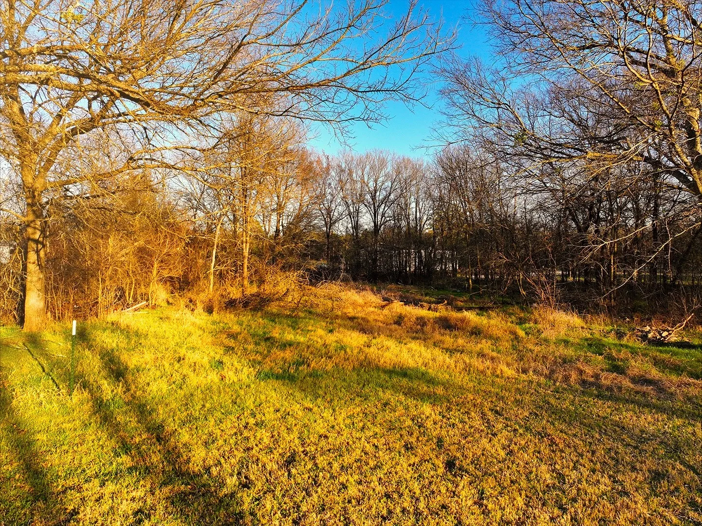 Unimproved Land For Sale in Navarro County , 259 NW County 3115 Road, Purdon, Texas 76679, 0, 0, Garage spaces, 0 Sqft, built in 0, mls#21368855, Real Estate Agent in Purdon, Homes For Sale in Navarro county, Homes For Sale in Purdon, Realtor in Purdon Texas, Real Estate Brokerage Independent Realty Texas, Luminita Cordes Realtor