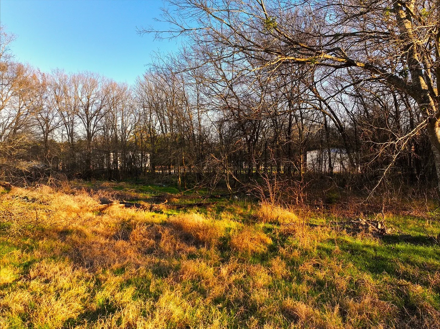 Unimproved Land For Sale in Navarro County , 259 NW County 3115 Road, Purdon, Texas 76679, 0, 0, Garage spaces, 0 Sqft, built in 0, mls#21368855, Real Estate Agent in Purdon, Homes For Sale in Navarro county, Homes For Sale in Purdon, Realtor in Purdon Texas, Real Estate Brokerage Independent Realty Texas, Luminita Cordes Realtor