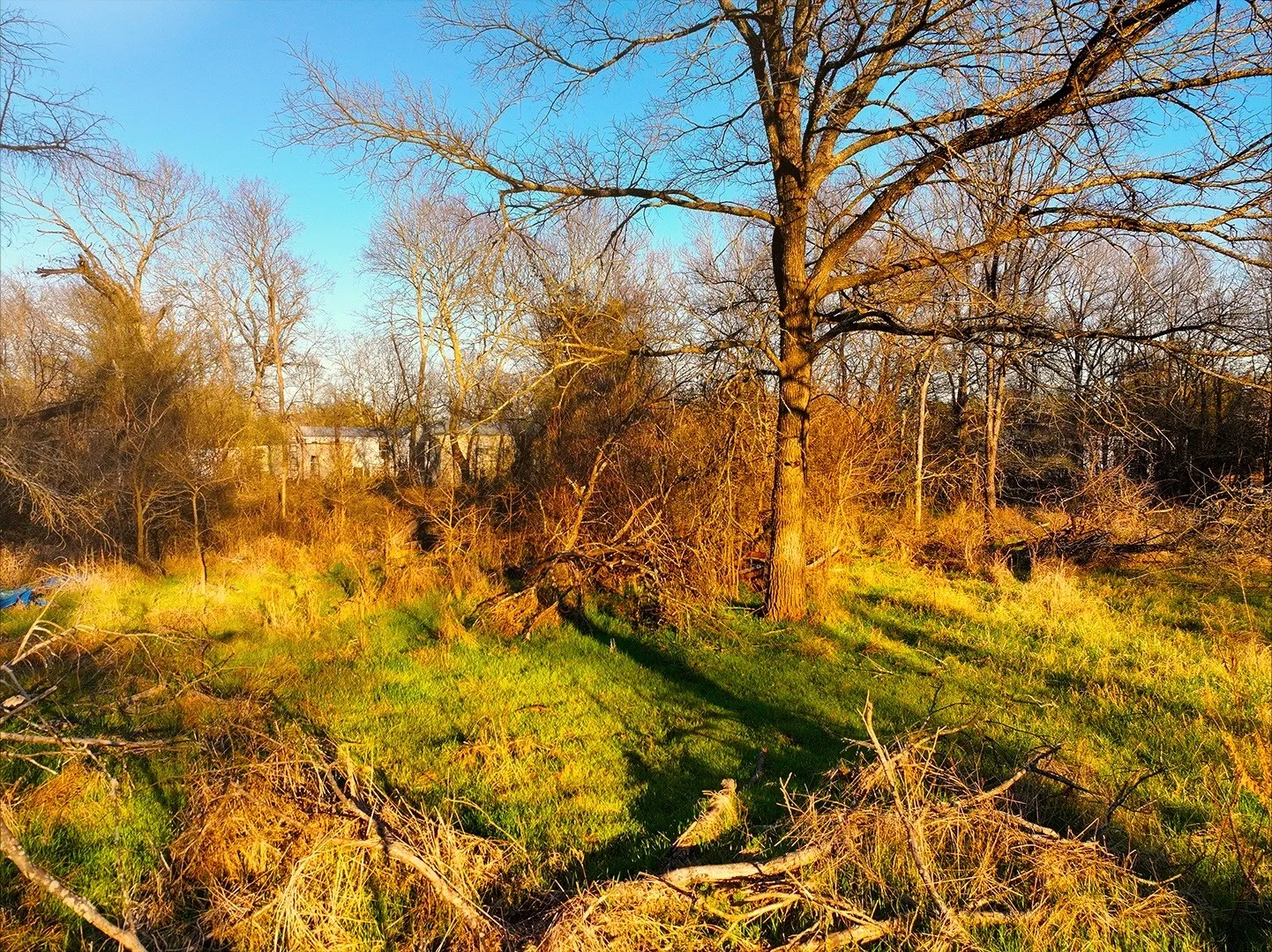 Unimproved Land For Sale in Navarro County , 259 NW County 3115 Road, Purdon, Texas 76679, 0, 0, Garage spaces, 0 Sqft, built in 0, mls#21368855, Real Estate Agent in Purdon, Homes For Sale in Navarro county, Homes For Sale in Purdon, Realtor in Purdon Texas, Real Estate Brokerage Independent Realty Texas, Luminita Cordes Realtor
