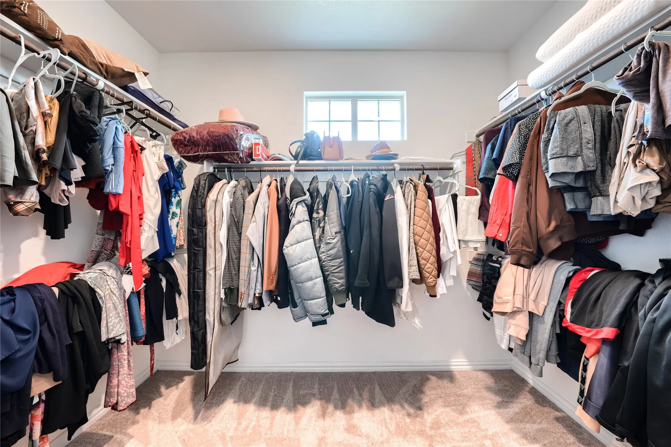 Walk-in closet featuring carpet flooring, built-in shelving, and a window