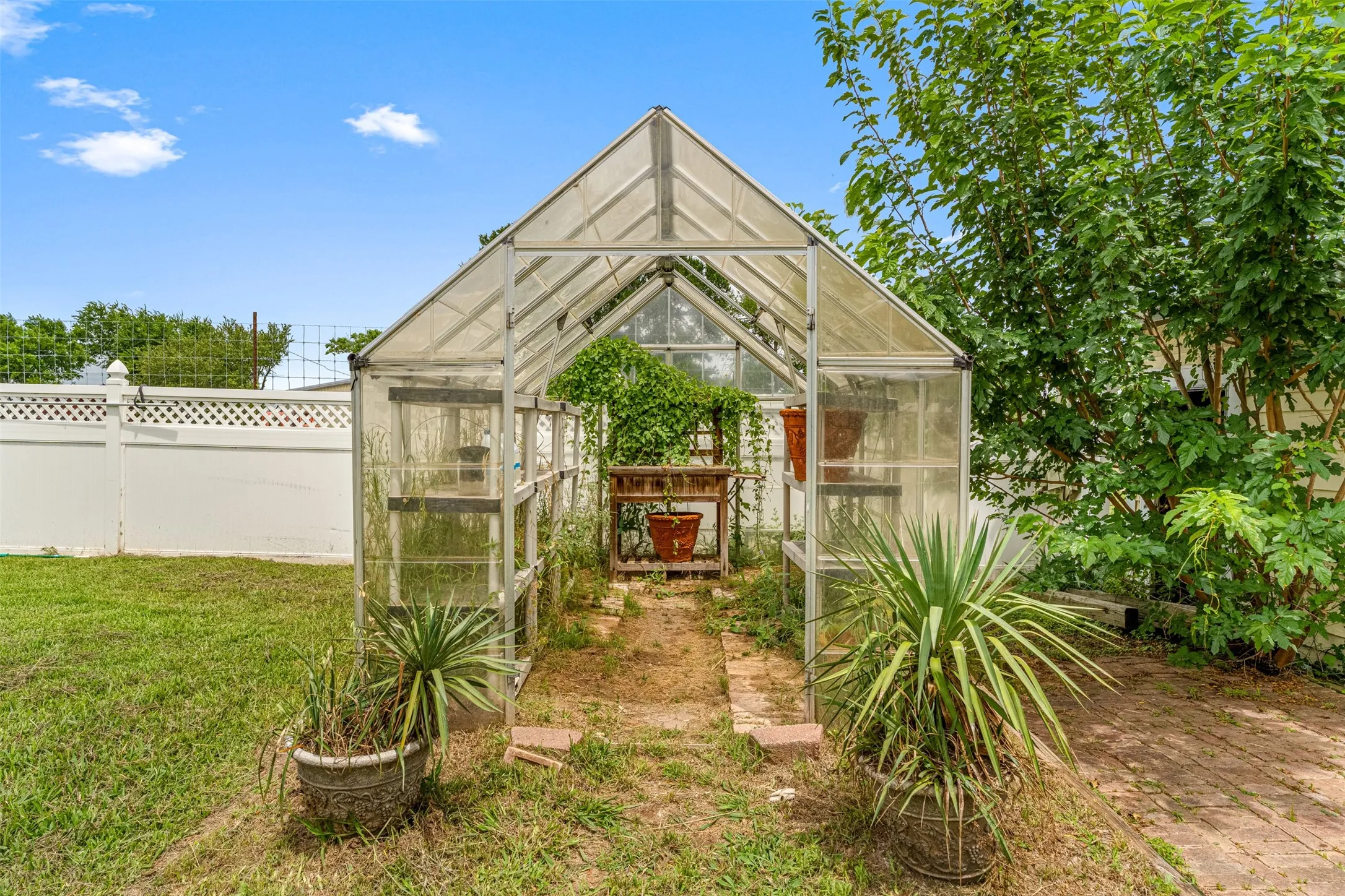 Views of the greenhouse