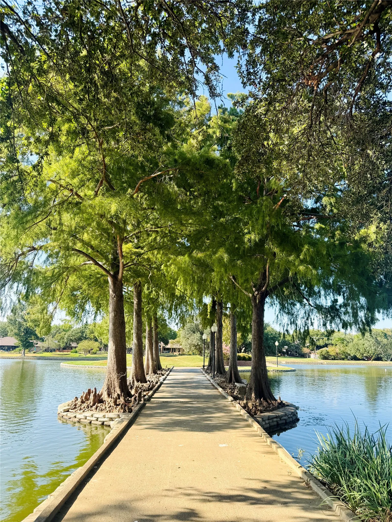 Waterfront pathway with mature trees and landscaping