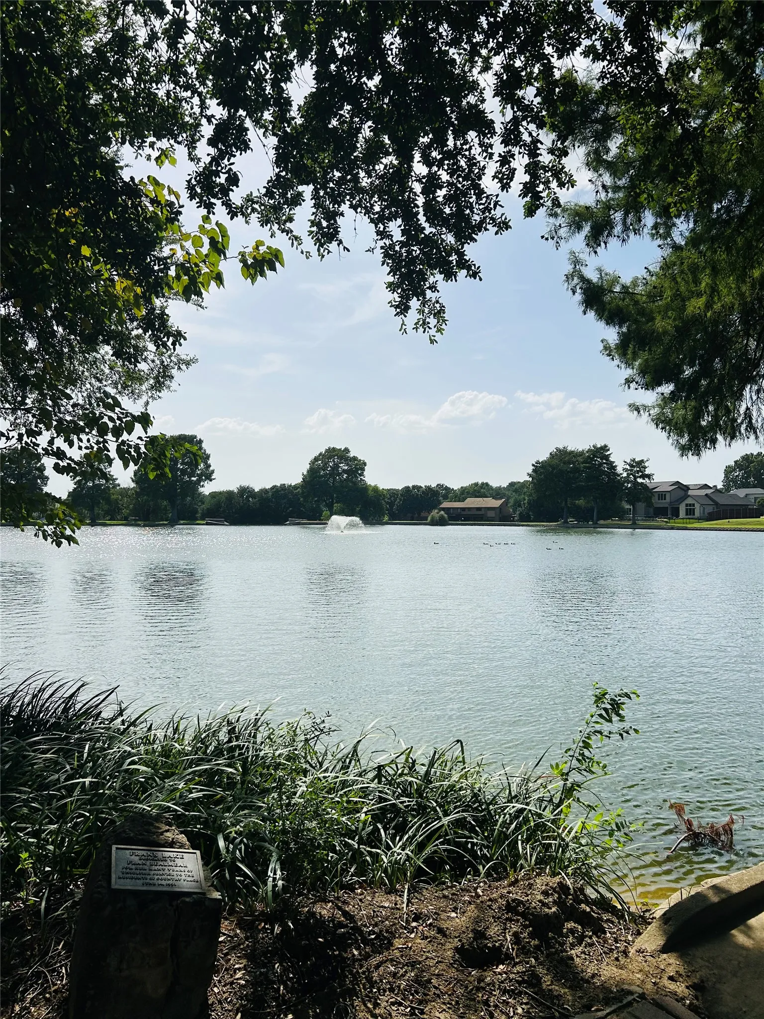 Waterfront property featuring expansive views across a serene lake, mature tree canopy providing natural shade, and direct water access from the landscaped grounds