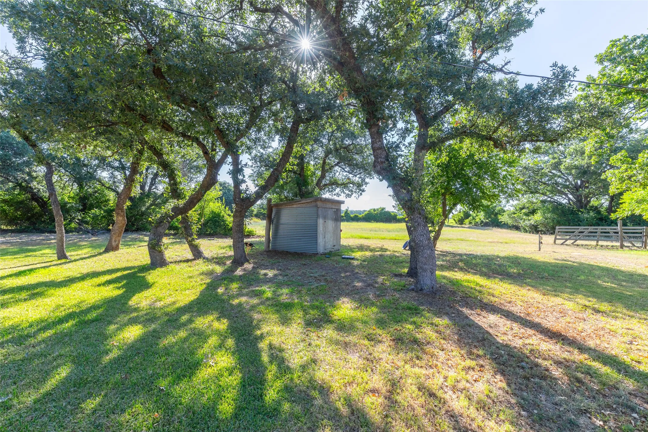 Expansive green lawn with mature trees and a detached shed