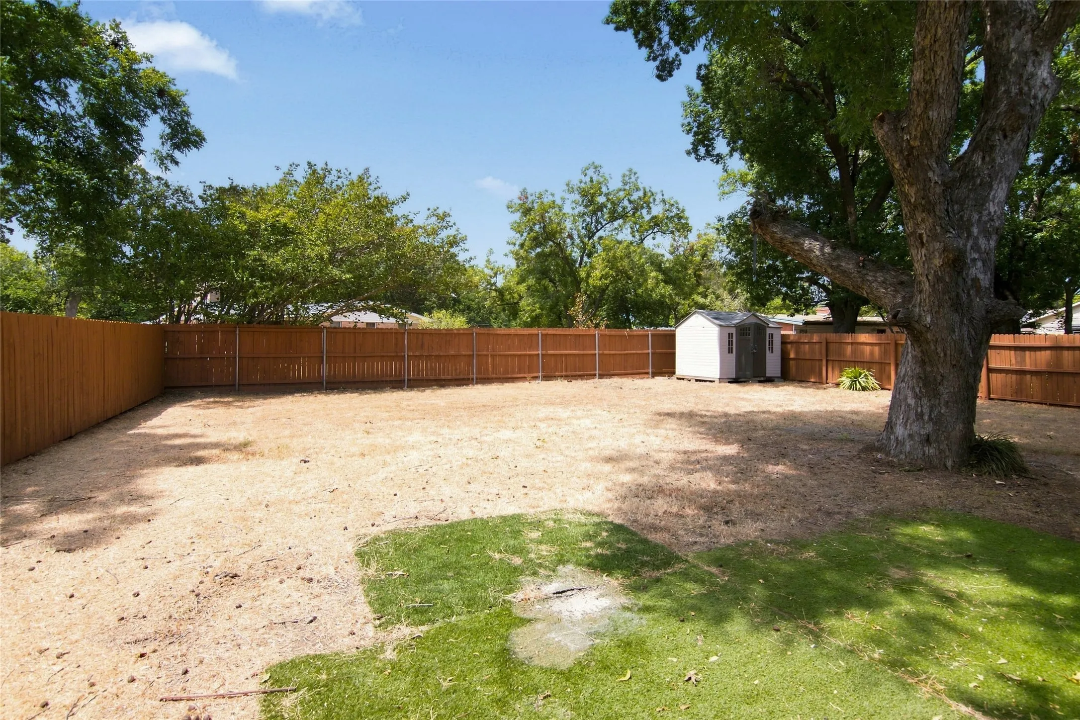 Great yard for pool and play