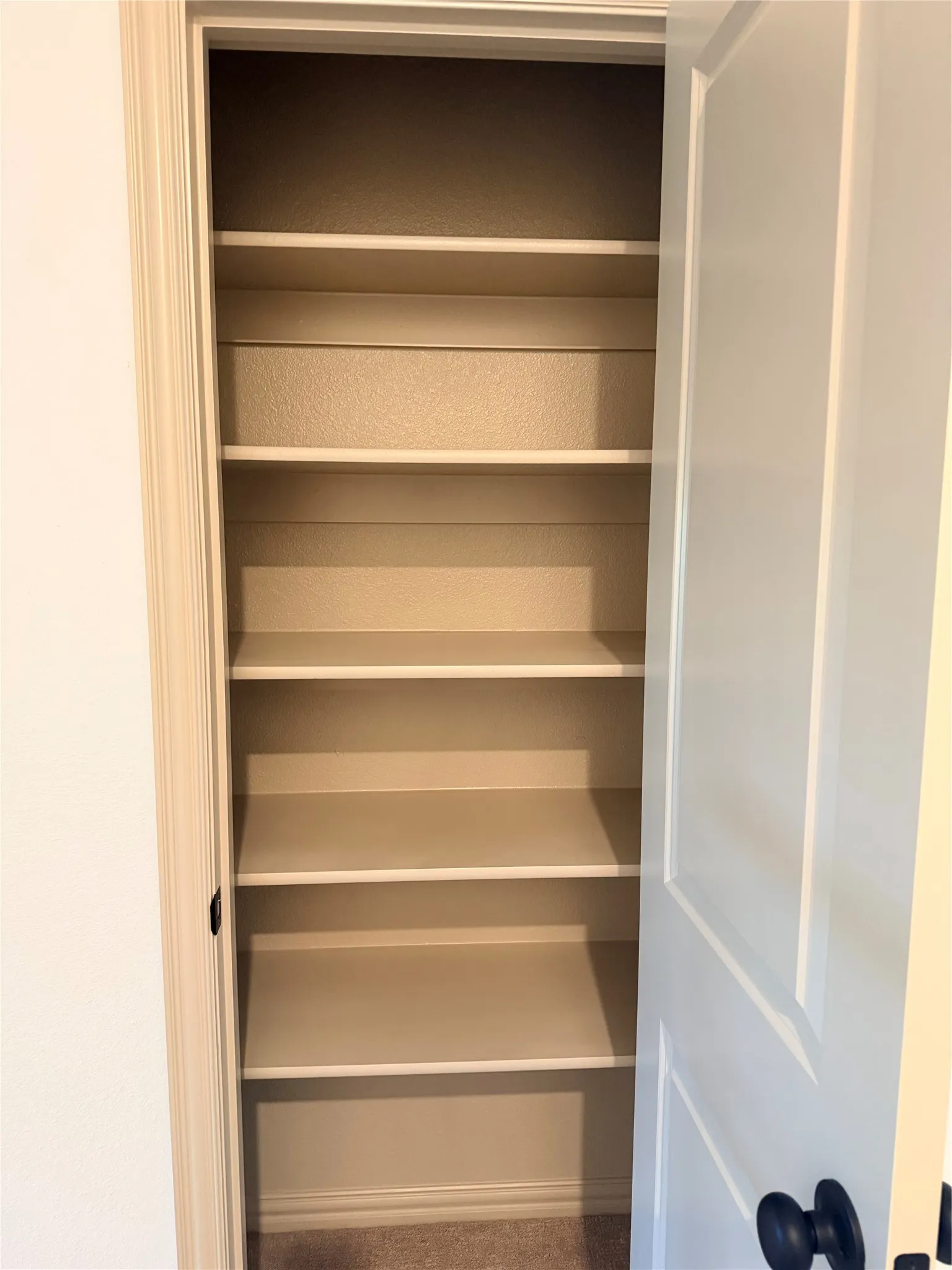 Hall Closet with Built-in shelving with multiple levels, paneled door, and dark hardware