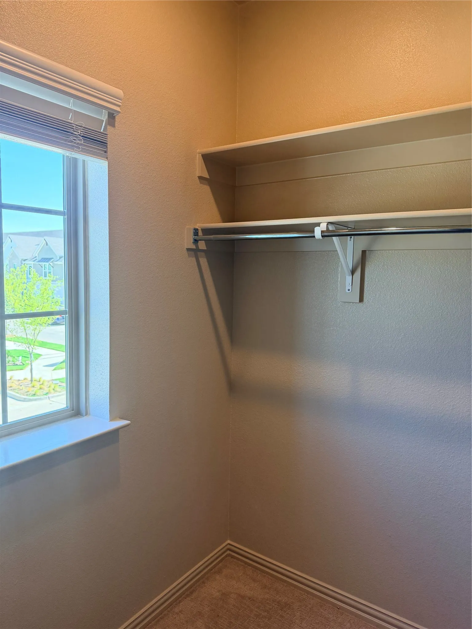 Master Closet#2 Built-in shelving with hanging rod, framed window, and carpeted flooring