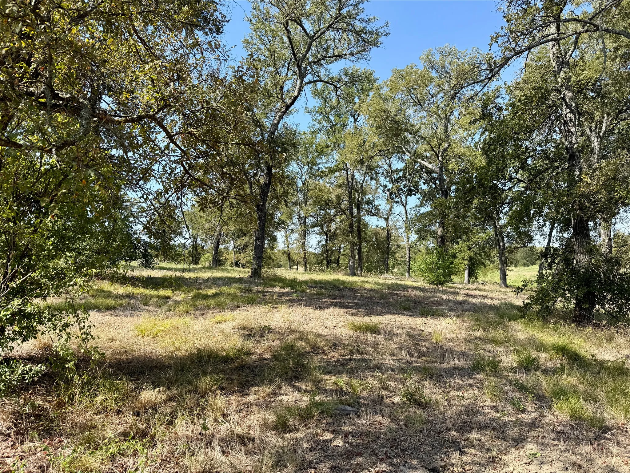 Unimproved Land For Sale in Navarro County , Lot 67 Diamond Point Drive, Corsicana, Texas 75109, 0, 0, Garage spaces, 0 Sqft, built in 0, mls#21368329, Real Estate Agent in Corsicana, Homes For Sale in Navarro county, Homes For Sale in Corsicana, Realtor in Corsicana Texas, Real Estate Brokerage Independent Realty Texas, Luminita Cordes Realtor