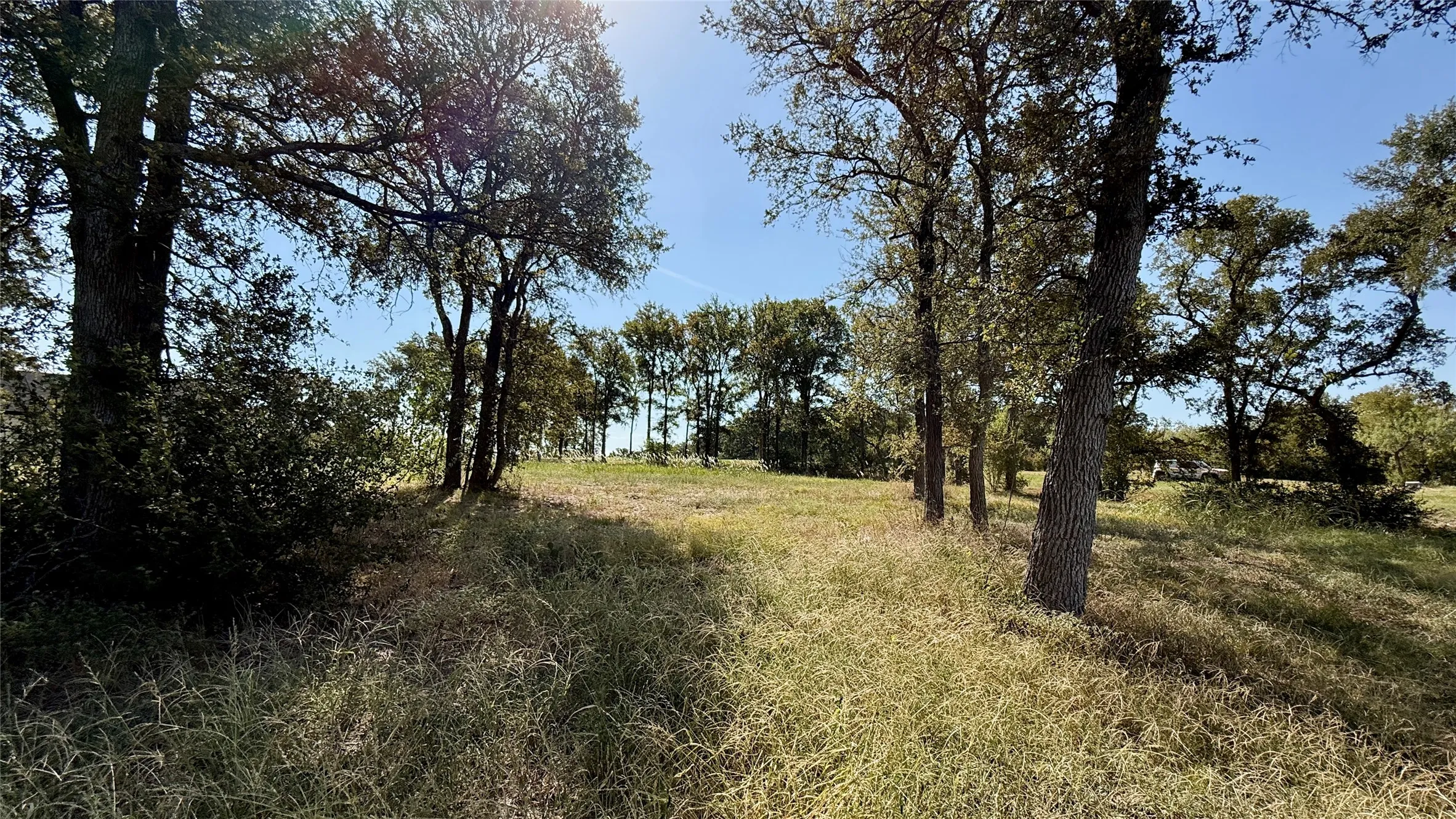 Unimproved Land For Sale in Navarro County , Lot 67 Diamond Point Drive, Corsicana, Texas 75109, 0, 0, Garage spaces, 0 Sqft, built in 0, mls#21368329, Real Estate Agent in Corsicana, Homes For Sale in Navarro county, Homes For Sale in Corsicana, Realtor in Corsicana Texas, Real Estate Brokerage Independent Realty Texas, Luminita Cordes Realtor