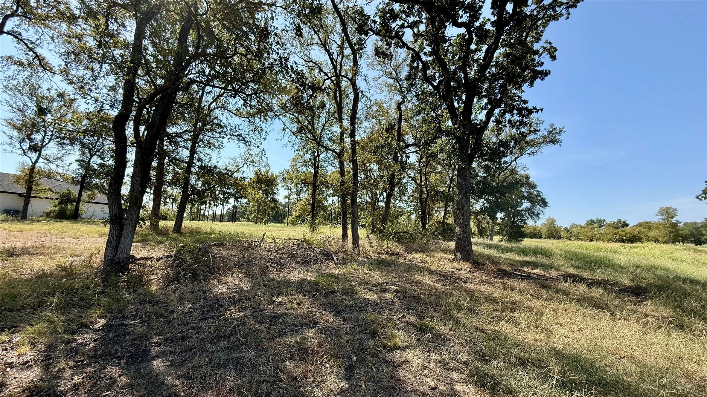 Unimproved Land For Sale in Navarro County , Lot 67 Diamond Point Drive, Corsicana, Texas 75109, 0, 0, Garage spaces, 0 Sqft, built in 0, mls#21368329, Real Estate Agent in Corsicana, Homes For Sale in Navarro county, Homes For Sale in Corsicana, Realtor in Corsicana Texas, Real Estate Brokerage Independent Realty Texas, Luminita Cordes Realtor