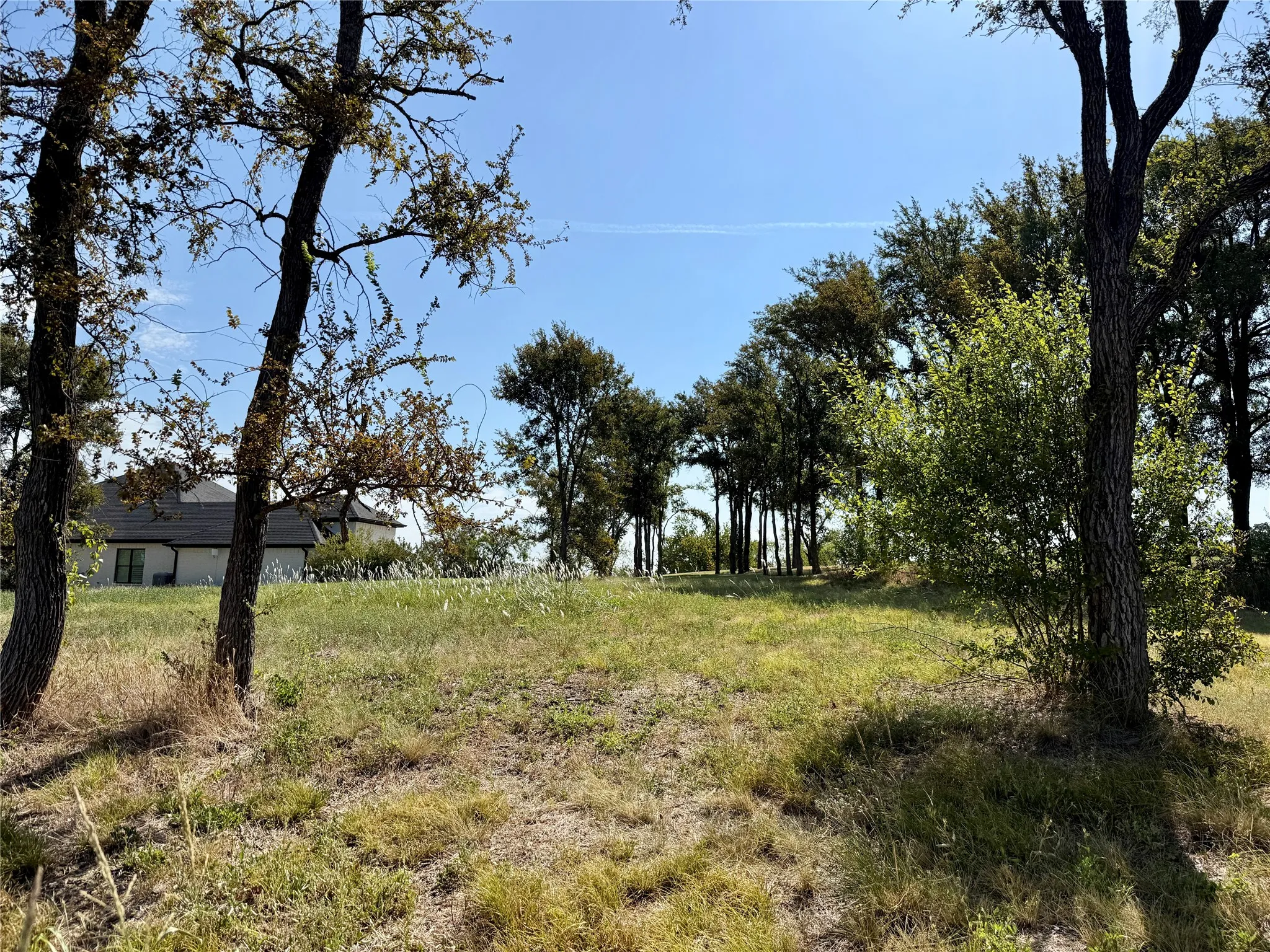 Unimproved Land For Sale in Navarro County , Lot 67 Diamond Point Drive, Corsicana, Texas 75109, 0, 0, Garage spaces, 0 Sqft, built in 0, mls#21368329, Real Estate Agent in Corsicana, Homes For Sale in Navarro county, Homes For Sale in Corsicana, Realtor in Corsicana Texas, Real Estate Brokerage Independent Realty Texas, Luminita Cordes Realtor