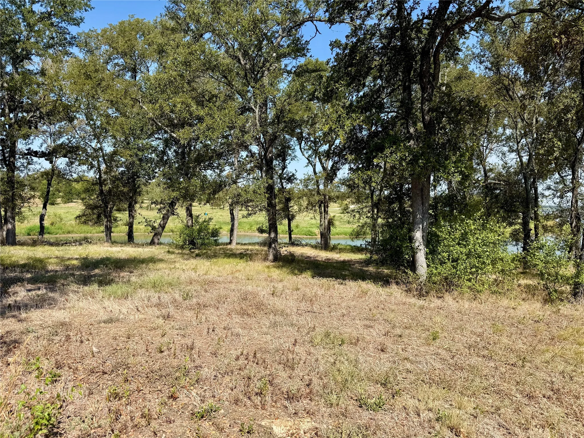 Unimproved Land For Sale in Navarro County , Lot 67 Diamond Point Drive, Corsicana, Texas 75109, 0, 0, Garage spaces, 0 Sqft, built in 0, mls#21368329, Real Estate Agent in Corsicana, Homes For Sale in Navarro county, Homes For Sale in Corsicana, Realtor in Corsicana Texas, Real Estate Brokerage Independent Realty Texas, Luminita Cordes Realtor
