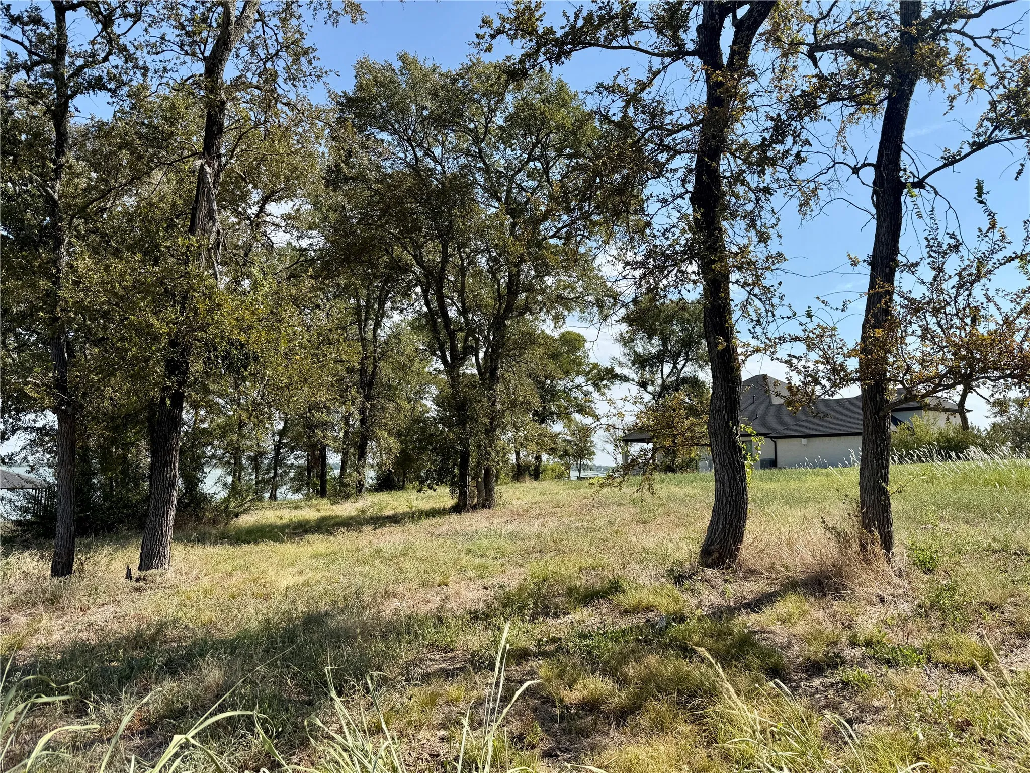 Unimproved Land For Sale in Navarro County , Lot 67 Diamond Point Drive, Corsicana, Texas 75109, 0, 0, Garage spaces, 0 Sqft, built in 0, mls#21368329, Real Estate Agent in Corsicana, Homes For Sale in Navarro county, Homes For Sale in Corsicana, Realtor in Corsicana Texas, Real Estate Brokerage Independent Realty Texas, Luminita Cordes Realtor
