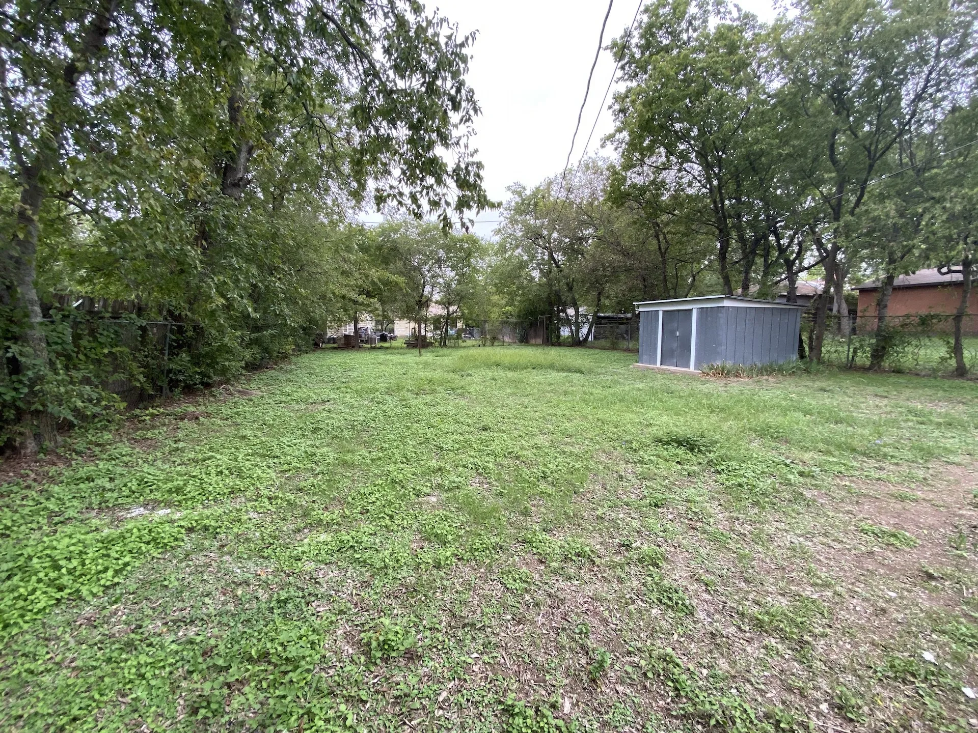Expansive lawn area featuring mature trees and a detached storage shed