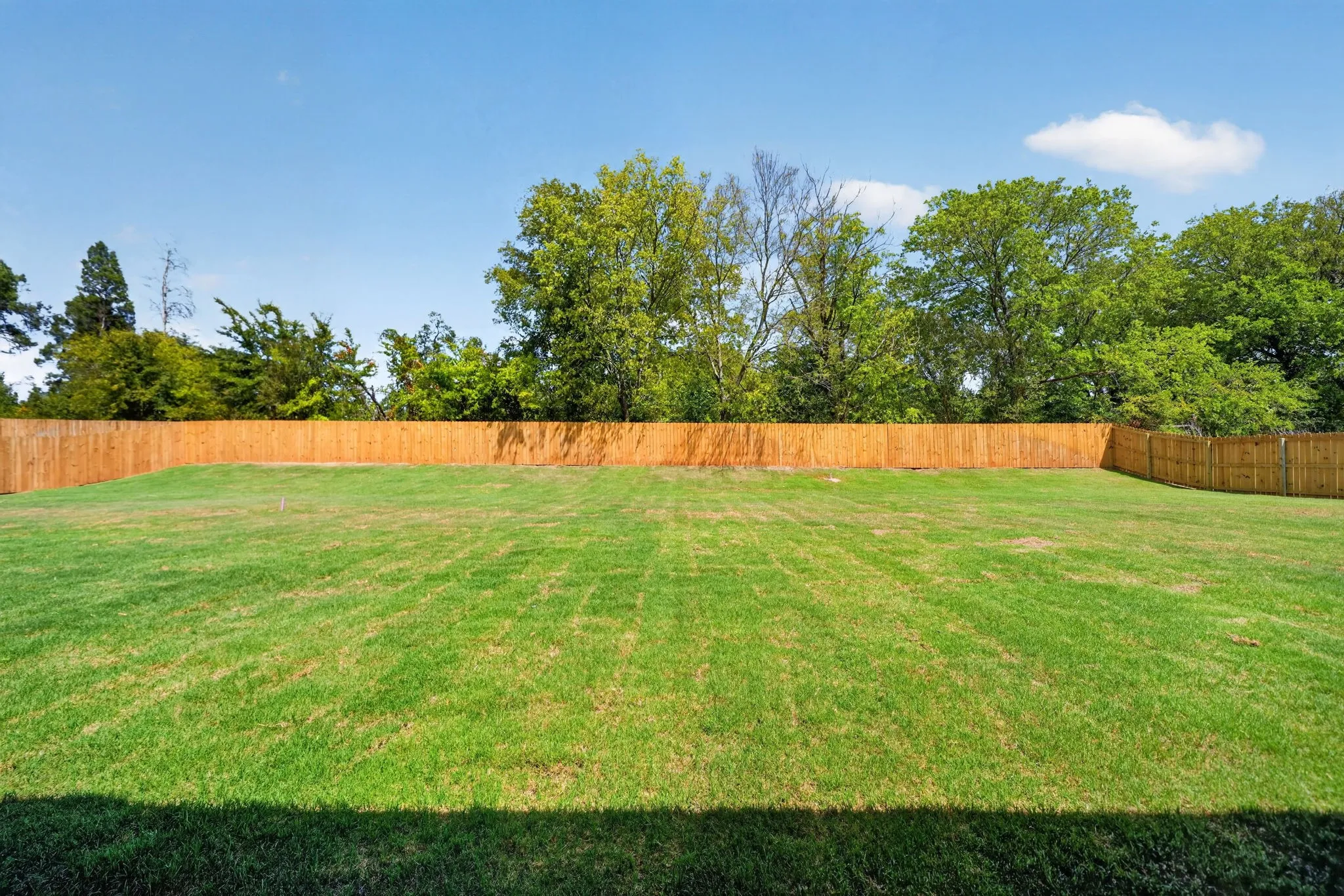 Expansive green lawn with a wood privacy fence and mature perimeter trees