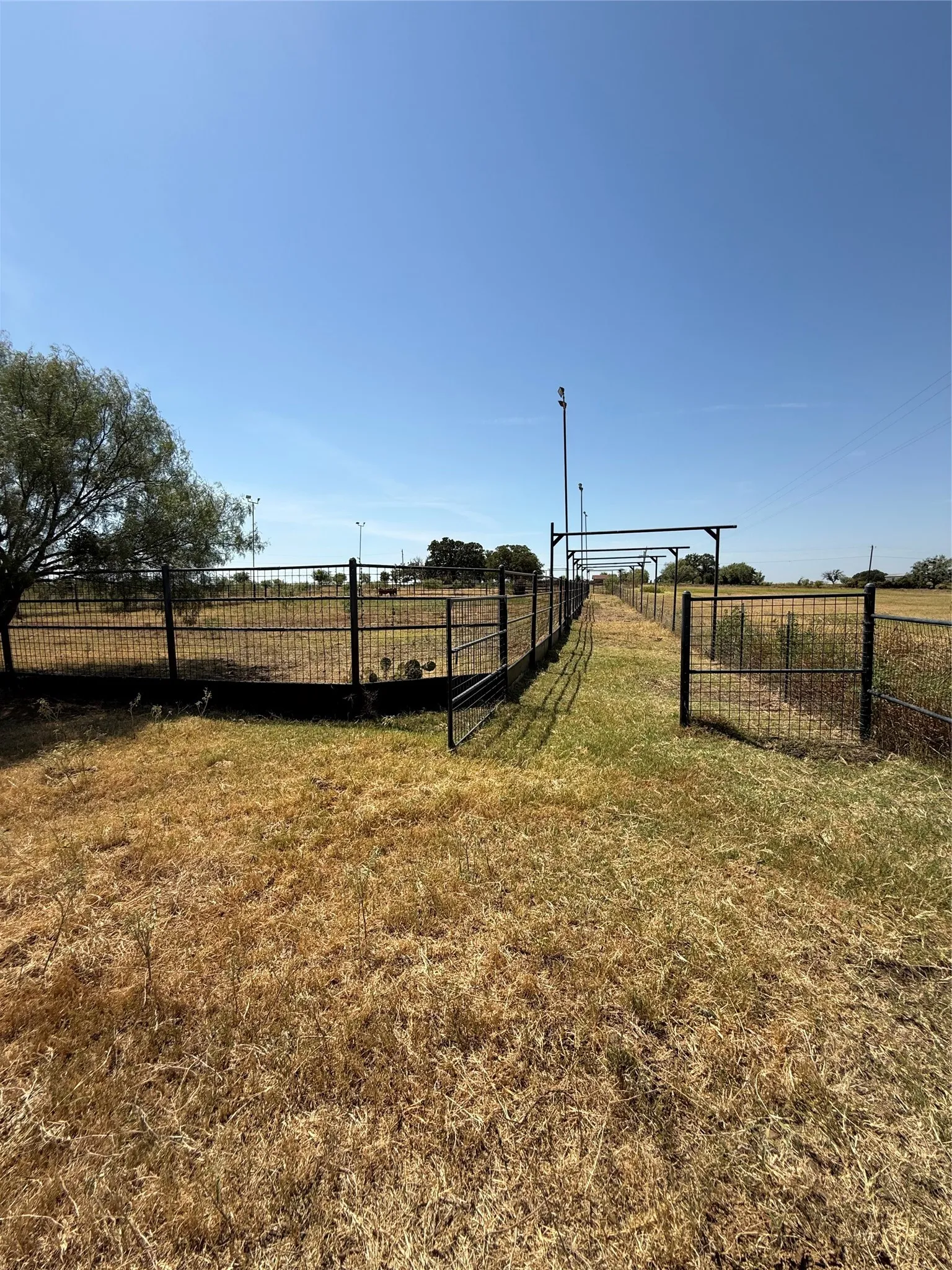 Improved Land For Sale in Comanche County , 2181 Fm 1476, Dublin, Texas 76446, 0, 0, Garage spaces, 0 Sqft, built in 0, mls#21368847, Real Estate Agent in Dublin, Homes For Sale in Comanche county, Homes For Sale in Dublin, Realtor in Dublin Texas, Real Estate Brokerage Independent Realty Texas, Luminita Cordes Realtor