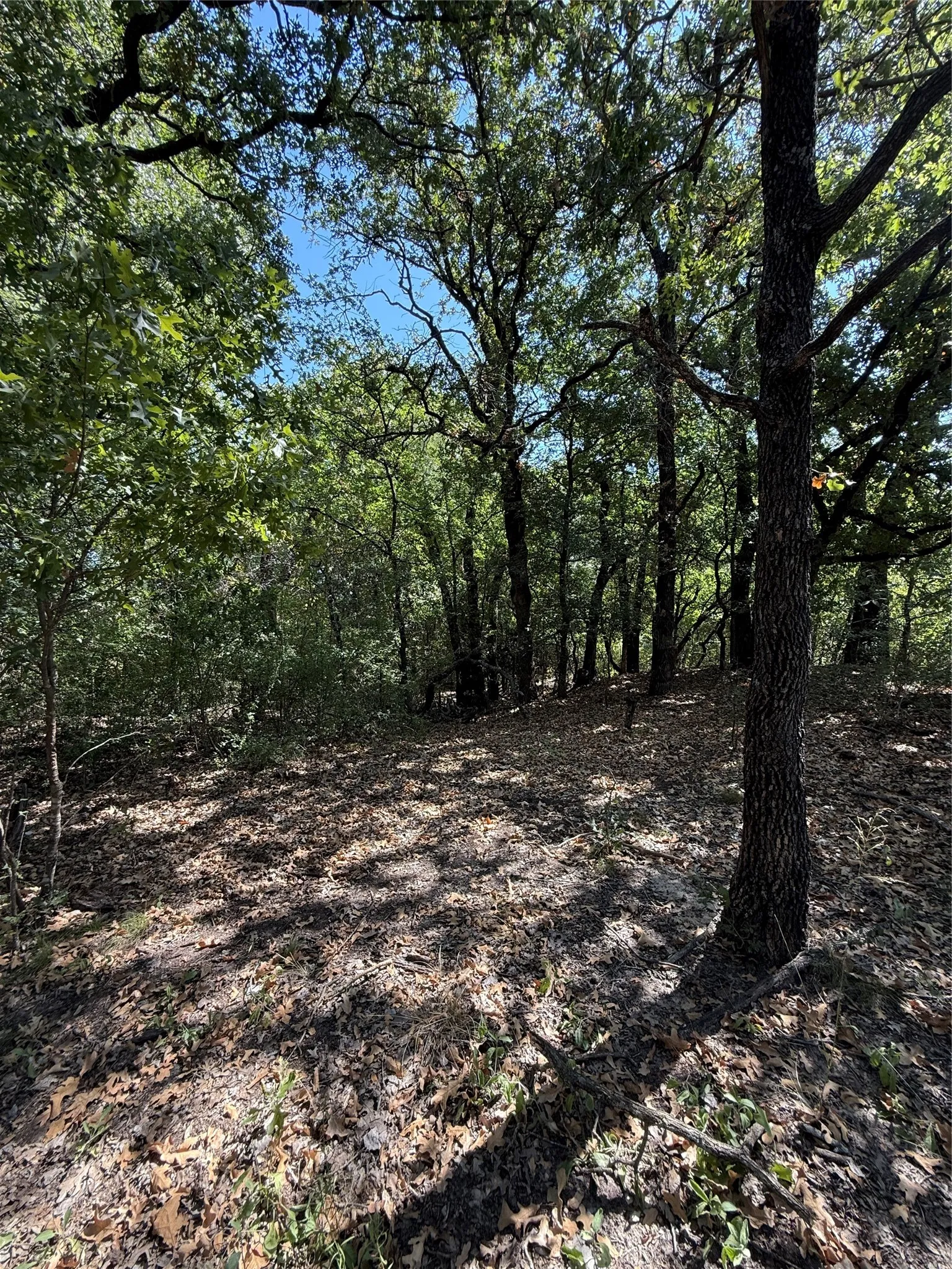 Improved Land For Sale in Comanche County , 2181 Fm 1476, Dublin, Texas 76446, 0, 0, Garage spaces, 0 Sqft, built in 0, mls#21368847, Real Estate Agent in Dublin, Homes For Sale in Comanche county, Homes For Sale in Dublin, Realtor in Dublin Texas, Real Estate Brokerage Independent Realty Texas, Luminita Cordes Realtor