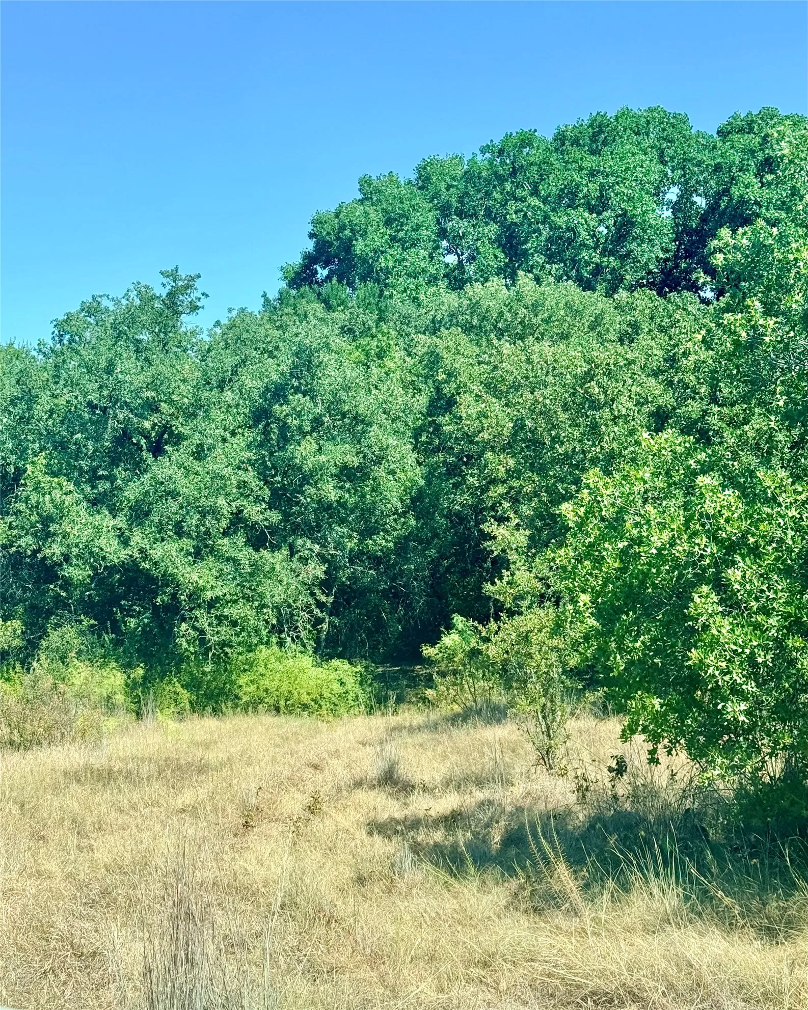 Improved Land For Sale in Comanche County , 2181 Fm 1476, Dublin, Texas 76446, 0, 0, Garage spaces, 0 Sqft, built in 0, mls#21368847, Real Estate Agent in Dublin, Homes For Sale in Comanche county, Homes For Sale in Dublin, Realtor in Dublin Texas, Real Estate Brokerage Independent Realty Texas, Luminita Cordes Realtor