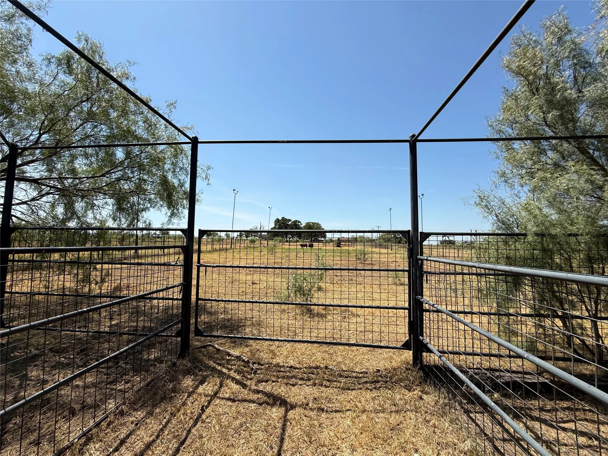 Improved Land For Sale in Comanche County , 2181 Fm 1476, Dublin, Texas 76446, 0, 0, Garage spaces, 0 Sqft, built in 0, mls#21368847, Real Estate Agent in Dublin, Homes For Sale in Comanche county, Homes For Sale in Dublin, Realtor in Dublin Texas, Real Estate Brokerage Independent Realty Texas, Luminita Cordes Realtor