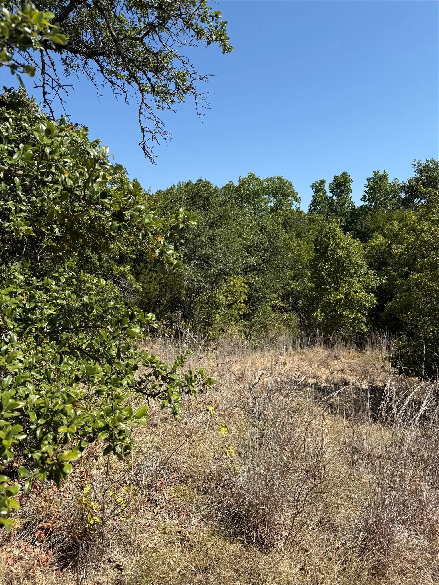 Improved Land For Sale in Comanche County , 2181 Fm 1476, Dublin, Texas 76446, 0, 0, Garage spaces, 0 Sqft, built in 0, mls#21368847, Real Estate Agent in Dublin, Homes For Sale in Comanche county, Homes For Sale in Dublin, Realtor in Dublin Texas, Real Estate Brokerage Independent Realty Texas, Luminita Cordes Realtor