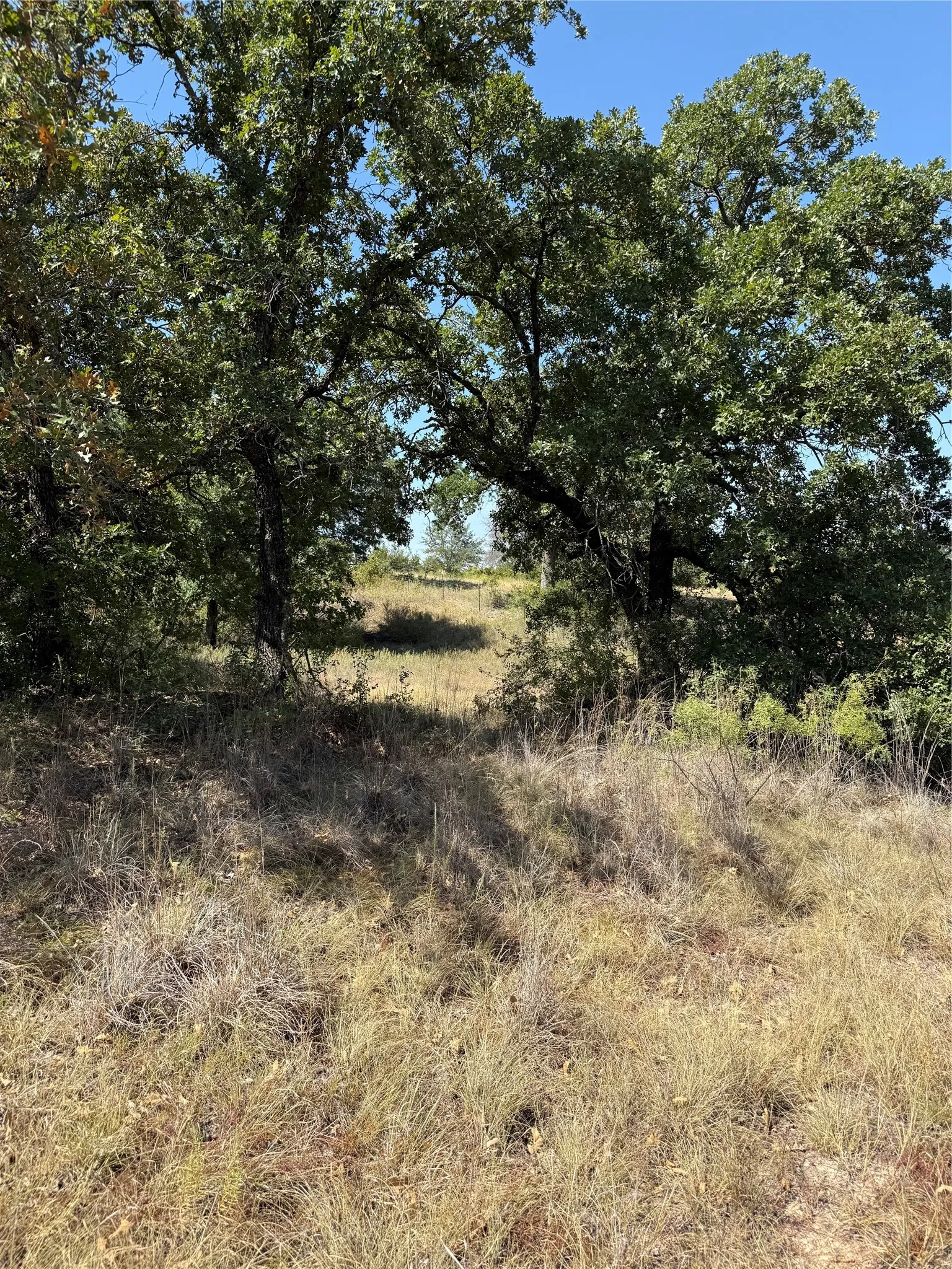 Improved Land For Sale in Comanche County , 2181 Fm 1476, Dublin, Texas 76446, 0, 0, Garage spaces, 0 Sqft, built in 0, mls#21368847, Real Estate Agent in Dublin, Homes For Sale in Comanche county, Homes For Sale in Dublin, Realtor in Dublin Texas, Real Estate Brokerage Independent Realty Texas, Luminita Cordes Realtor