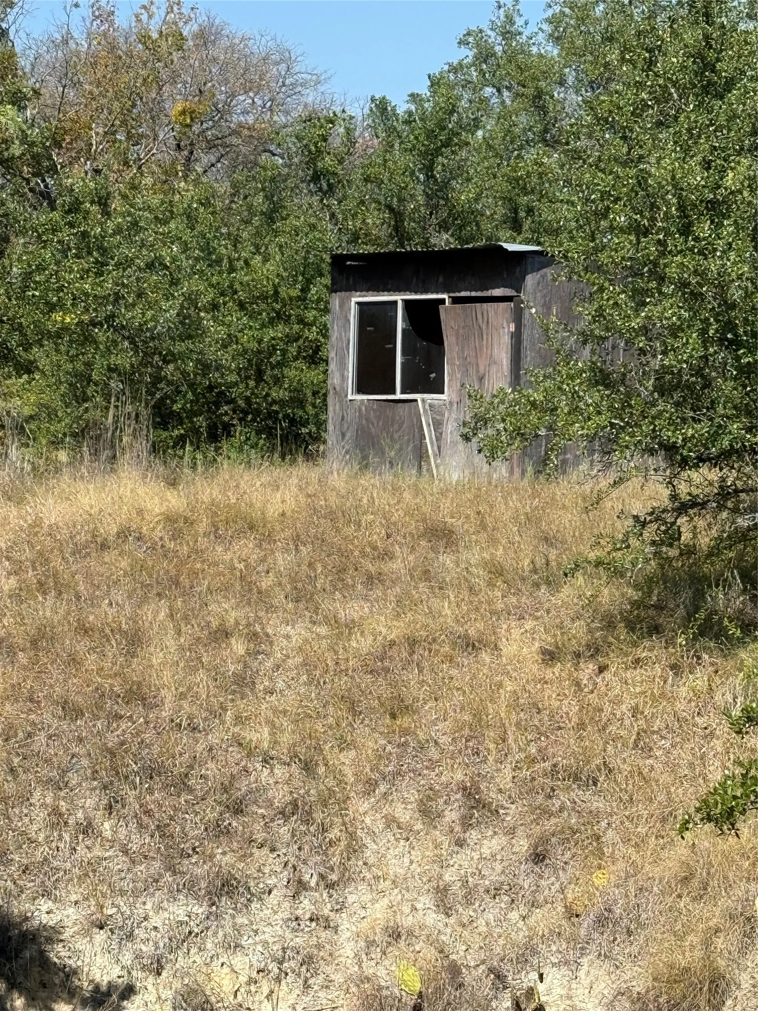 Improved Land For Sale in Comanche County , 2181 Fm 1476, Dublin, Texas 76446, 0, 0, Garage spaces, 0 Sqft, built in 0, mls#21368847, Real Estate Agent in Dublin, Homes For Sale in Comanche county, Homes For Sale in Dublin, Realtor in Dublin Texas, Real Estate Brokerage Independent Realty Texas, Luminita Cordes Realtor