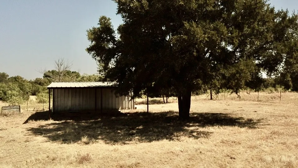 Improved Land For Sale in Comanche County , 2181 Fm 1476, Dublin, Texas 76446, 0, 0, Garage spaces, 0 Sqft, built in 0, mls#21368847, Real Estate Agent in Dublin, Homes For Sale in Comanche county, Homes For Sale in Dublin, Realtor in Dublin Texas, Real Estate Brokerage Independent Realty Texas, Luminita Cordes Realtor