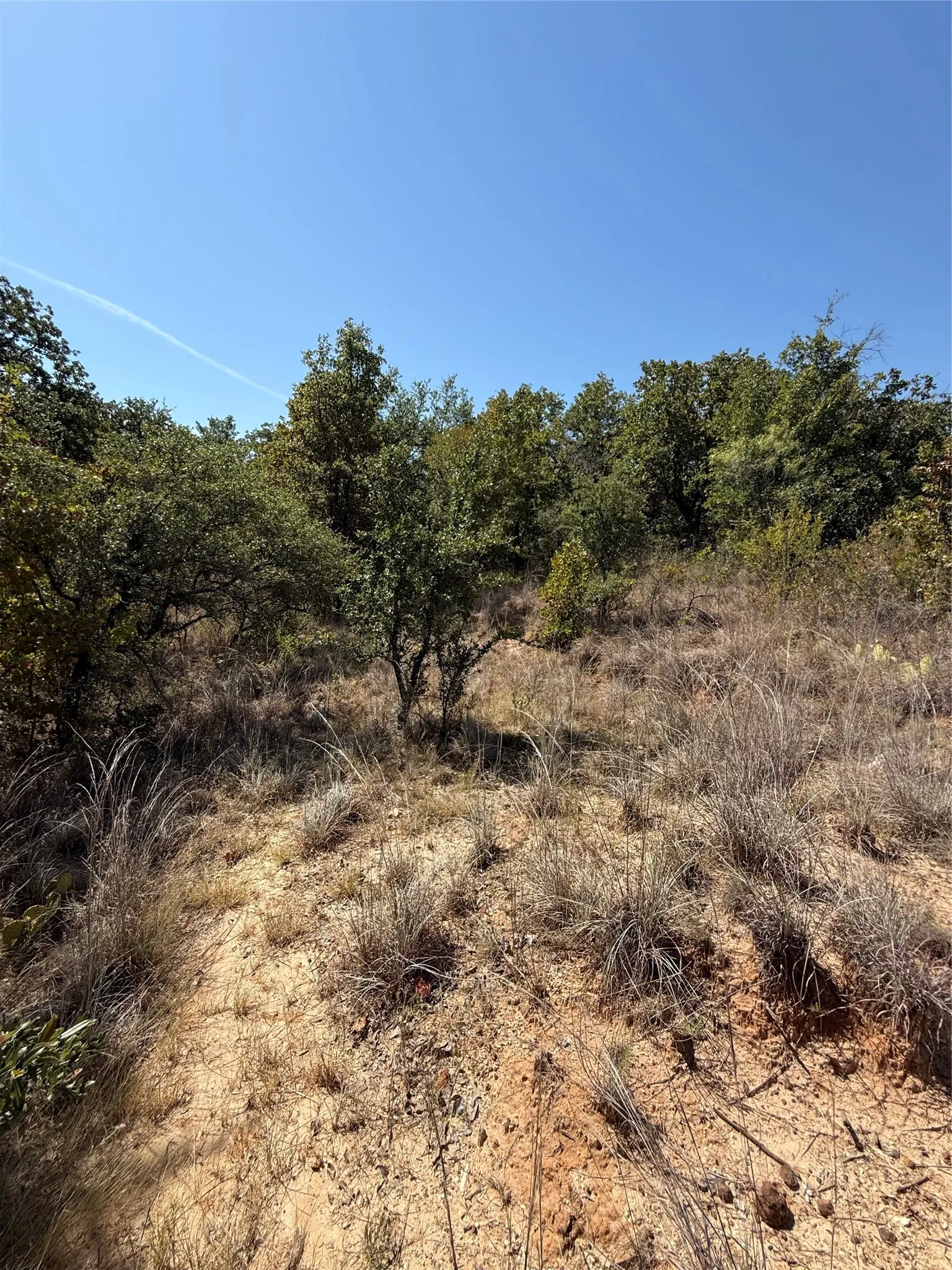 Improved Land For Sale in Comanche County , 2181 Fm 1476, Dublin, Texas 76446, 0, 0, Garage spaces, 0 Sqft, built in 0, mls#21368847, Real Estate Agent in Dublin, Homes For Sale in Comanche county, Homes For Sale in Dublin, Realtor in Dublin Texas, Real Estate Brokerage Independent Realty Texas, Luminita Cordes Realtor