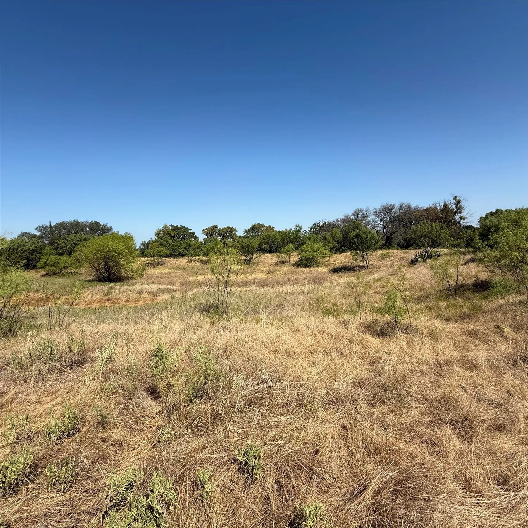 Improved Land For Sale in Comanche County , 2181 Fm 1476, Dublin, Texas 76446, 0, 0, Garage spaces, 0 Sqft, built in 0, mls#21368847, Real Estate Agent in Dublin, Homes For Sale in Comanche county, Homes For Sale in Dublin, Realtor in Dublin Texas, Real Estate Brokerage Independent Realty Texas, Luminita Cordes Realtor