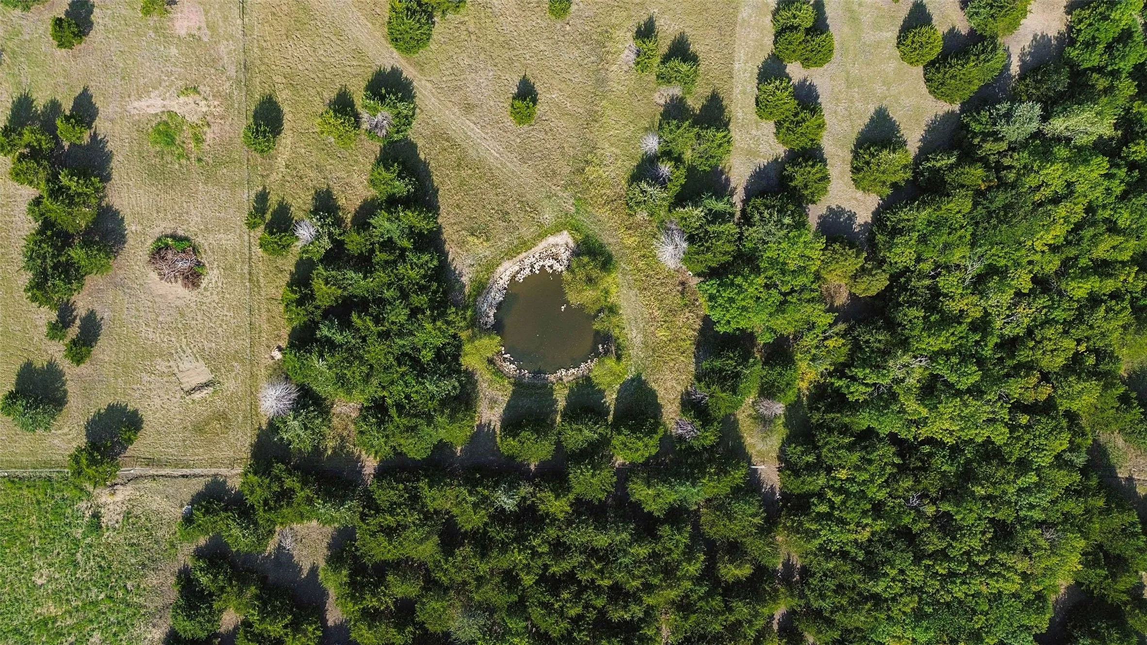 Improved Land For Sale in Collin County , 11920 County Road 670, Blue Ridge, Texas 75424, 0, 0, Garage spaces, 0 Sqft, built in 2004, mls#21353817, Real Estate Agent in Blue Ridge, Homes For Sale in Collin county, Homes For Sale in Blue Ridge, Realtor in Blue Ridge Texas, Real Estate Brokerage Independent Realty Texas, Luminita Cordes Realtor