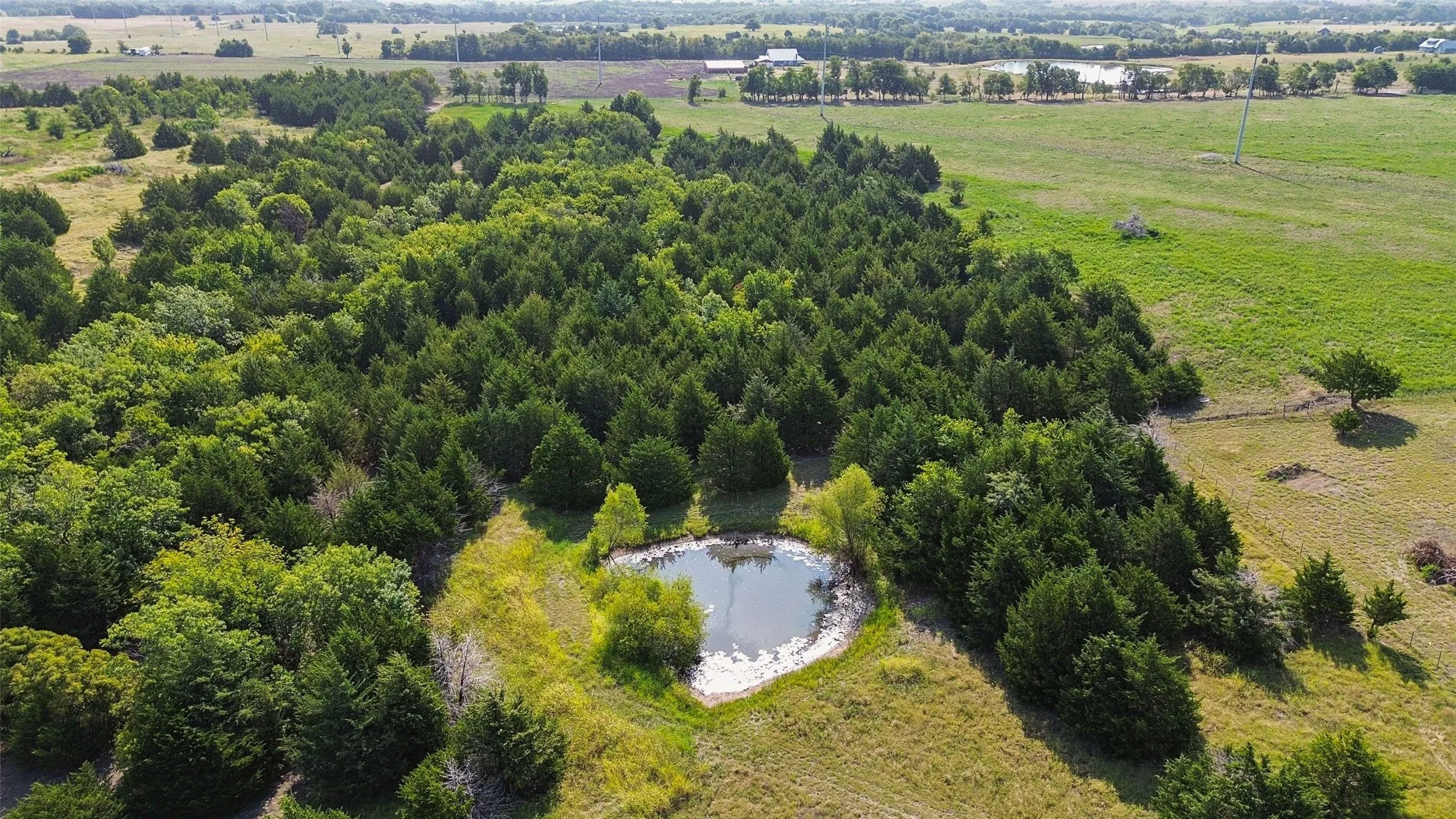 Improved Land For Sale in Collin County , 11920 County Road 670, Blue Ridge, Texas 75424, 0, 0, Garage spaces, 0 Sqft, built in 2004, mls#21353817, Real Estate Agent in Blue Ridge, Homes For Sale in Collin county, Homes For Sale in Blue Ridge, Realtor in Blue Ridge Texas, Real Estate Brokerage Independent Realty Texas, Luminita Cordes Realtor