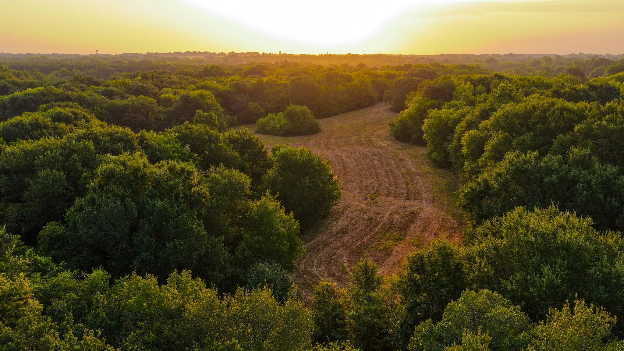 Ranch For Sale in Hopkins County , 230 COUNTY ROAD 2434, Sulphur Springs, Texas 75482, 0, 0, Garage spaces, 0 Sqft, built in 2011, mls#21368443, Real Estate Agent in Sulphur Springs, Homes For Sale in Hopkins county, Homes For Sale in Sulphur Springs, Realtor in Sulphur Springs Texas, Real Estate Brokerage Independent Realty Texas, Luminita Cordes Realtor