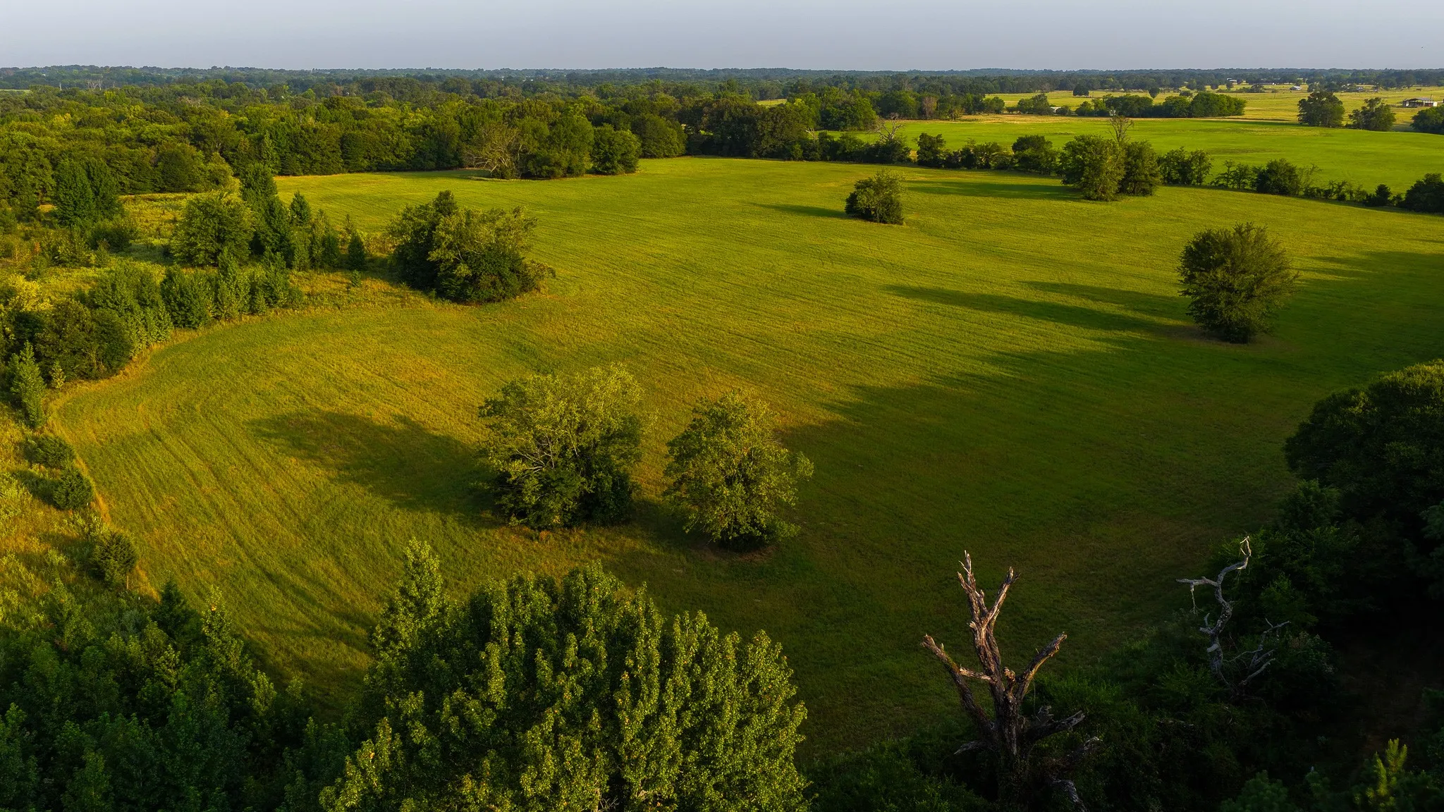 Ranch For Sale in Hopkins County , 230 COUNTY ROAD 2434, Sulphur Springs, Texas 75482, 0, 0, Garage spaces, 0 Sqft, built in 2011, mls#21368443, Real Estate Agent in Sulphur Springs, Homes For Sale in Hopkins county, Homes For Sale in Sulphur Springs, Realtor in Sulphur Springs Texas, Real Estate Brokerage Independent Realty Texas, Luminita Cordes Realtor
