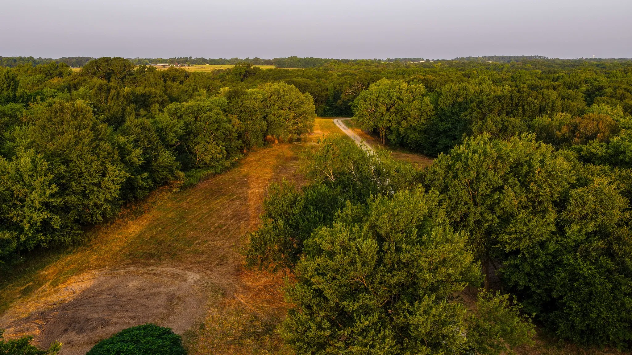 Ranch For Sale in Hopkins County , 230 COUNTY ROAD 2434, Sulphur Springs, Texas 75482, 0, 0, Garage spaces, 0 Sqft, built in 2011, mls#21368443, Real Estate Agent in Sulphur Springs, Homes For Sale in Hopkins county, Homes For Sale in Sulphur Springs, Realtor in Sulphur Springs Texas, Real Estate Brokerage Independent Realty Texas, Luminita Cordes Realtor