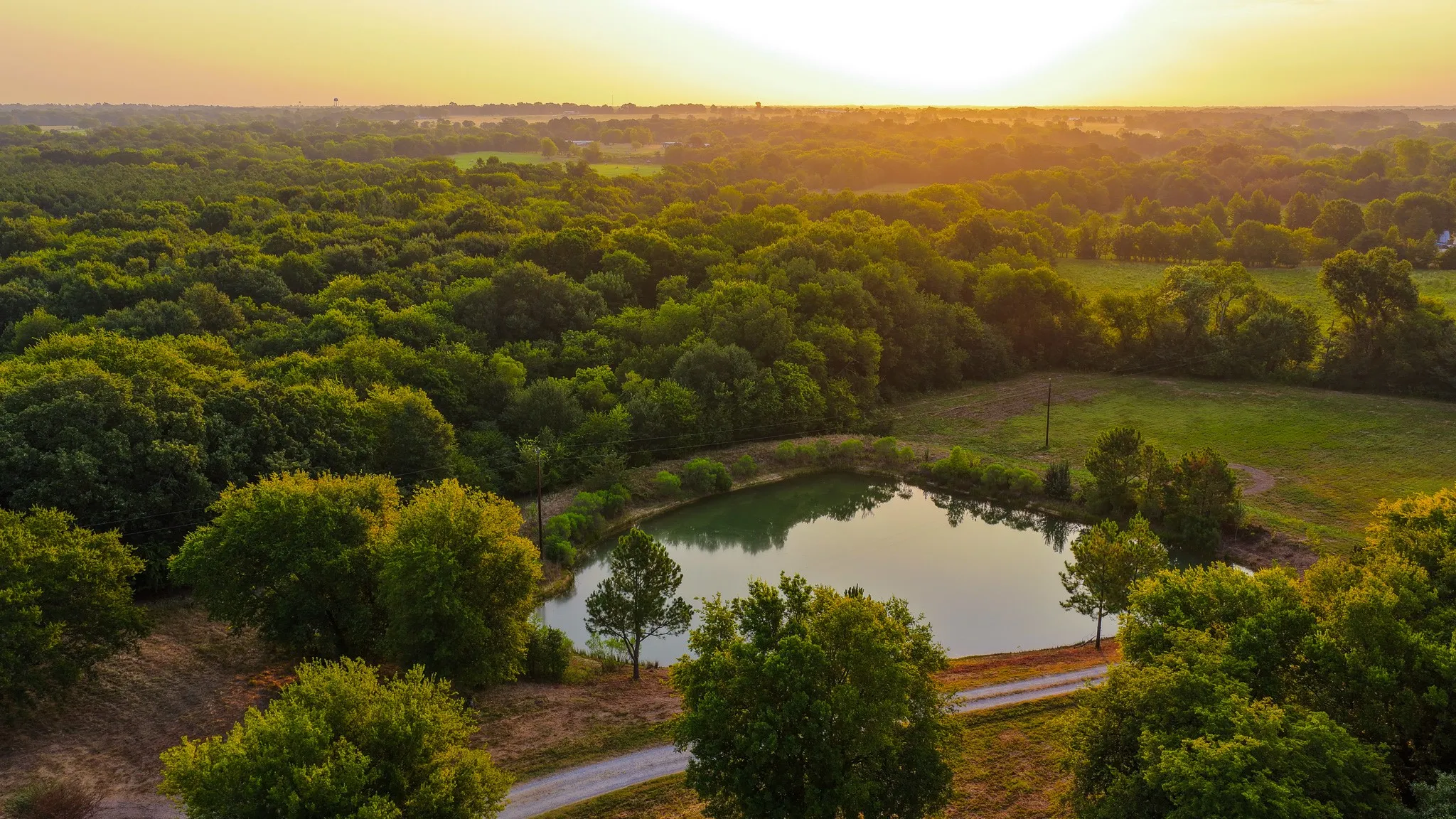 Ranch For Sale in Hopkins County , 230 COUNTY ROAD 2434, Sulphur Springs, Texas 75482, 0, 0, Garage spaces, 0 Sqft, built in 2011, mls#21368443, Real Estate Agent in Sulphur Springs, Homes For Sale in Hopkins county, Homes For Sale in Sulphur Springs, Realtor in Sulphur Springs Texas, Real Estate Brokerage Independent Realty Texas, Luminita Cordes Realtor