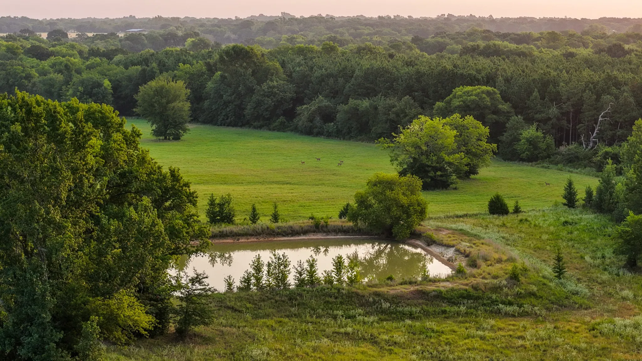 Ranch For Sale in Hopkins County , 230 COUNTY ROAD 2434, Sulphur Springs, Texas 75482, 0, 0, Garage spaces, 0 Sqft, built in 2011, mls#21368443, Real Estate Agent in Sulphur Springs, Homes For Sale in Hopkins county, Homes For Sale in Sulphur Springs, Realtor in Sulphur Springs Texas, Real Estate Brokerage Independent Realty Texas, Luminita Cordes Realtor