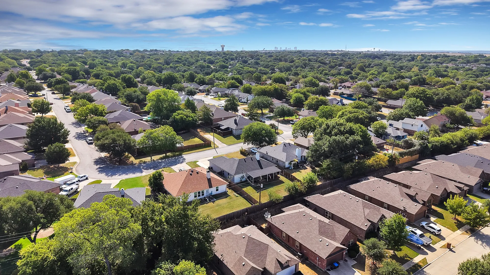 Residential street with mature trees and a clear sky