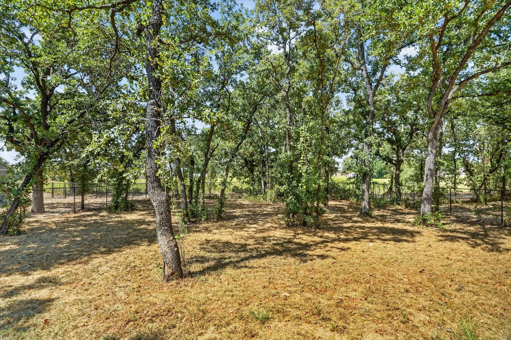 Single Family Residence For Sale in Hood County , 461 Peace Lily Way, Tolar, Texas 76476, 3 Bedroom, 2 Bathroom, 2 Garage spaces, 1,233 Sqft, built in 2025, mls#21368715, Real Estate Agent in Tolar, Homes For Sale in Hood county, Homes For Sale in Tolar, Realtor in Tolar Texas, Real Estate Brokerage Independent Realty Texas, Luminita Cordes Realtor