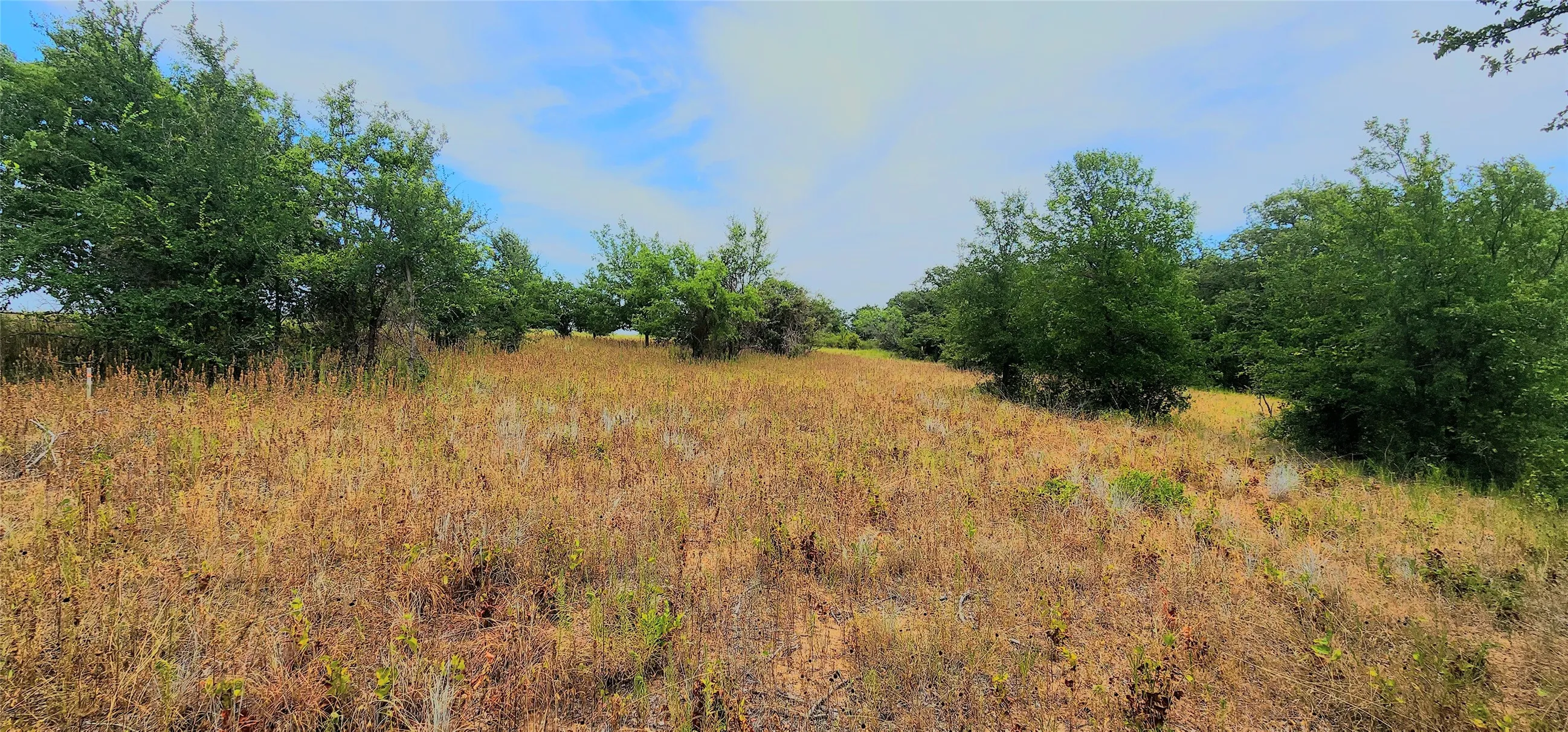 Improved Land For Sale in Parker County , 1080 Gonzollas Road, Springtown, Texas 76082, 0, 0, Garage spaces, 0 Sqft, built in 0, mls#21366632, Real Estate Agent in Springtown, Homes For Sale in Parker county, Homes For Sale in Springtown, Realtor in Springtown Texas, Real Estate Brokerage Independent Realty Texas, Luminita Cordes Realtor
