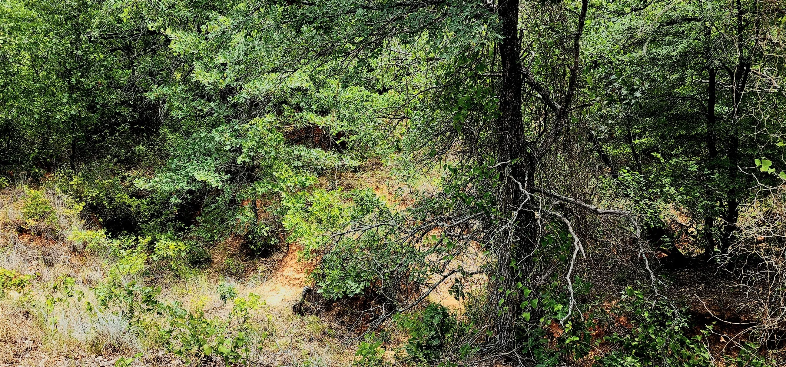 Improved Land For Sale in Parker County , 1080 Gonzollas Road, Springtown, Texas 76082, 0, 0, Garage spaces, 0 Sqft, built in 0, mls#21366632, Real Estate Agent in Springtown, Homes For Sale in Parker county, Homes For Sale in Springtown, Realtor in Springtown Texas, Real Estate Brokerage Independent Realty Texas, Luminita Cordes Realtor