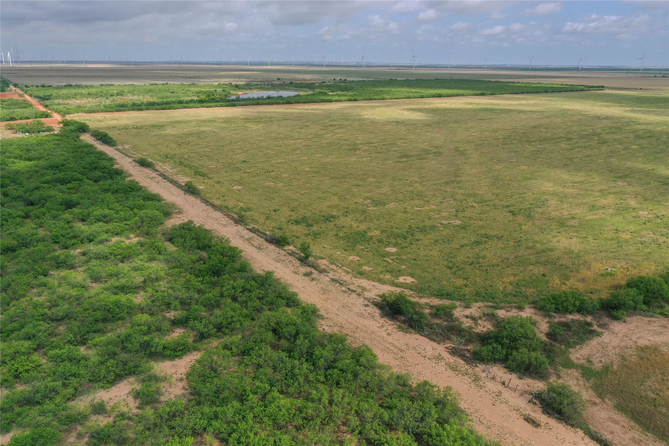 Ranch For Sale in Foard County , 0 Fm 2877, Crowell, Texas 79227, 0, 0, Garage spaces, 0 Sqft, built in 0, mls#21369236, Real Estate Agent in Crowell, Homes For Sale in Foard county, Homes For Sale in Crowell, Realtor in Crowell Texas, Real Estate Brokerage Independent Realty Texas, Luminita Cordes Realtor