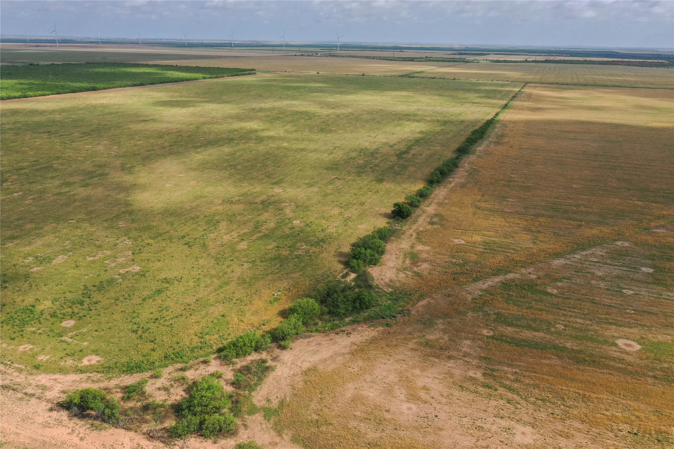 Ranch For Sale in Foard County , 0 Fm 2877, Crowell, Texas 79227, 0, 0, Garage spaces, 0 Sqft, built in 0, mls#21369236, Real Estate Agent in Crowell, Homes For Sale in Foard county, Homes For Sale in Crowell, Realtor in Crowell Texas, Real Estate Brokerage Independent Realty Texas, Luminita Cordes Realtor